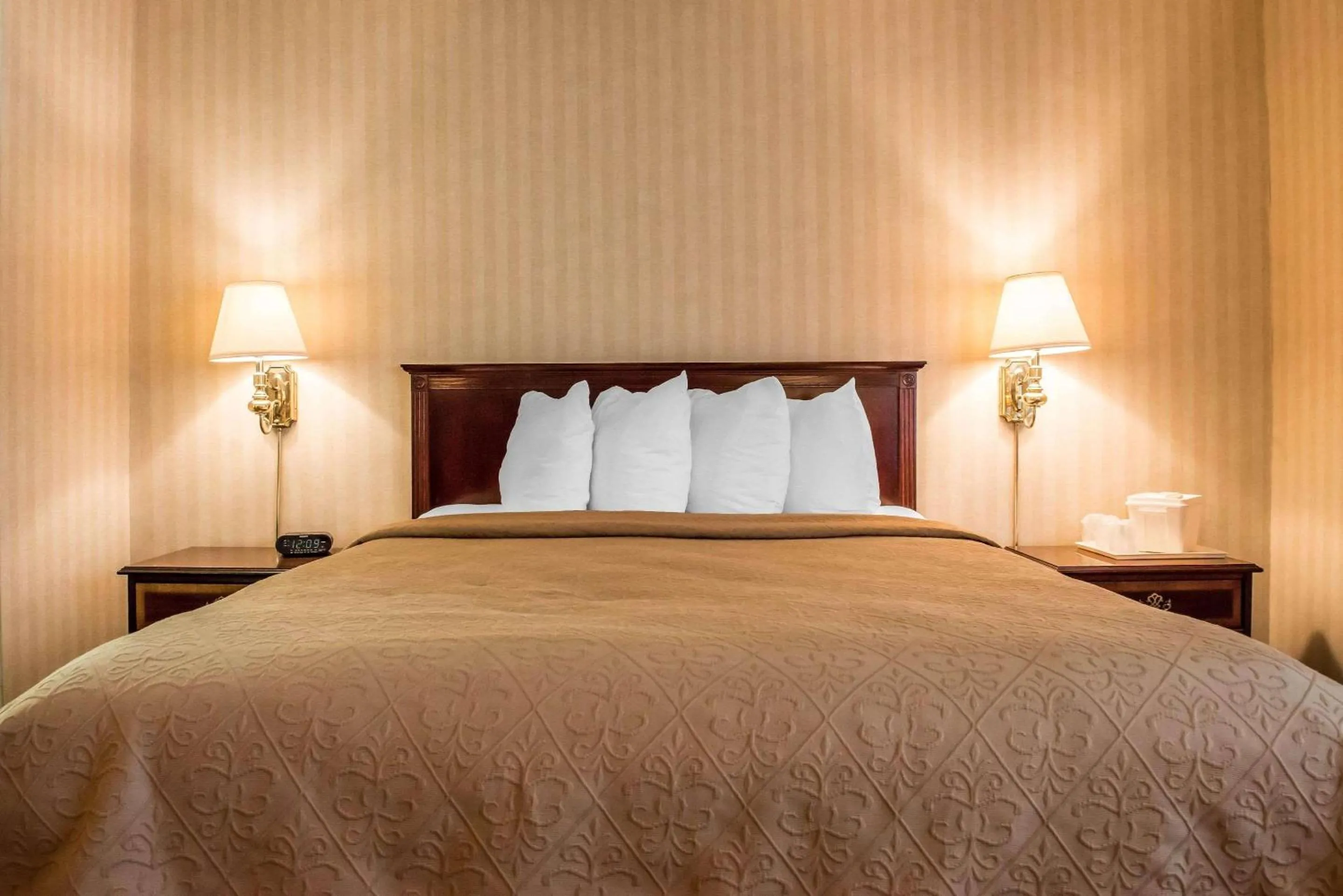 Photo of the whole room, Bed in Quality Inn Pittsburgh Airport