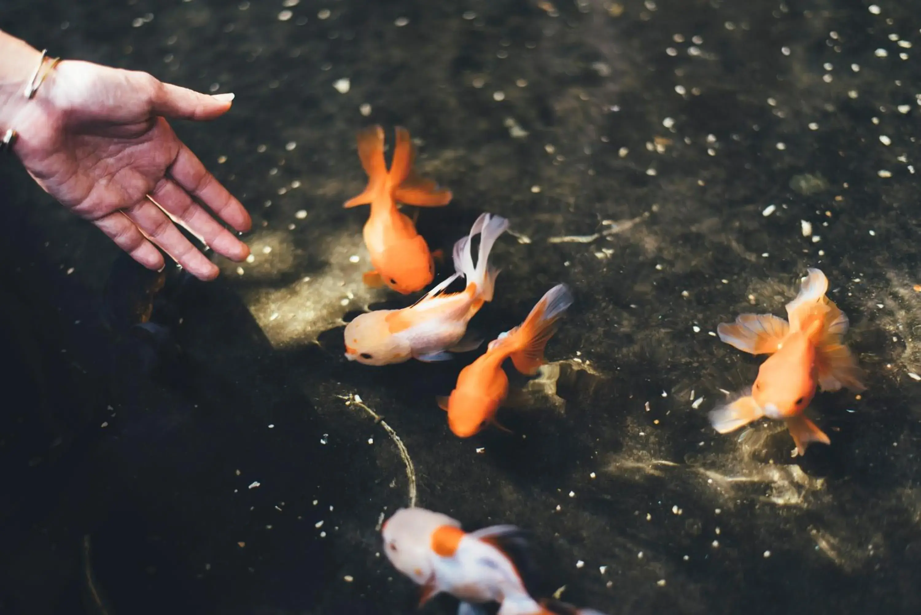 Property building in Marine Beach Hotel Pattaya - SHA Plus Property building in Marine Beach Hotel Pattaya - SHA Plus