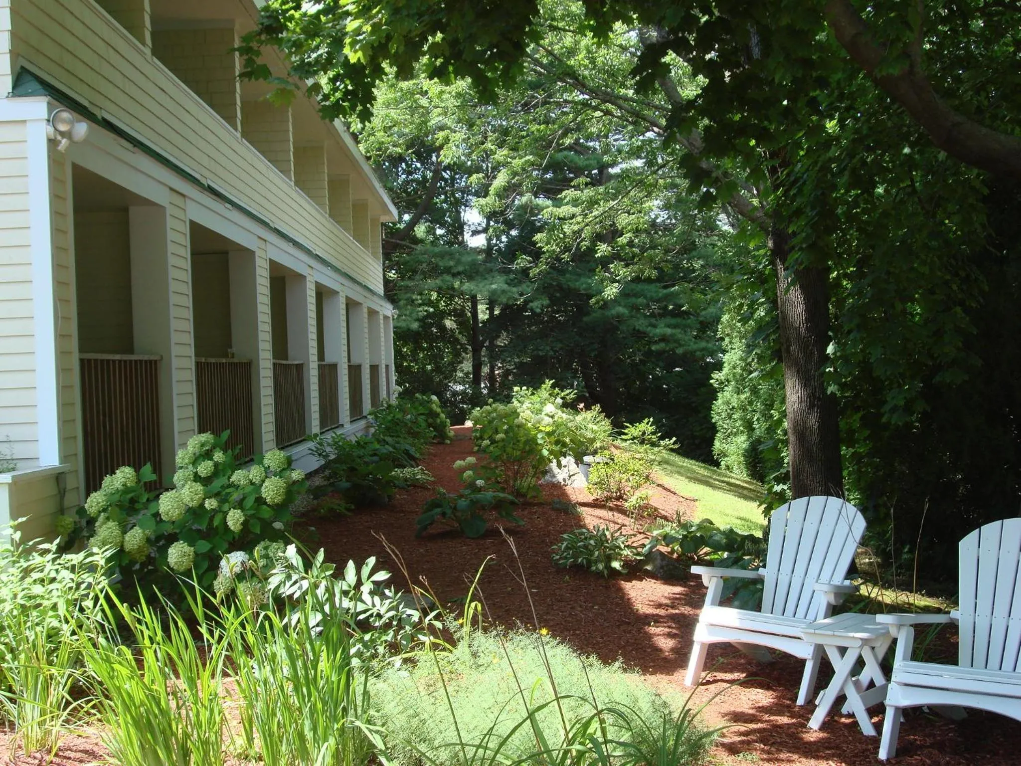 Garden in The Grand Hotel