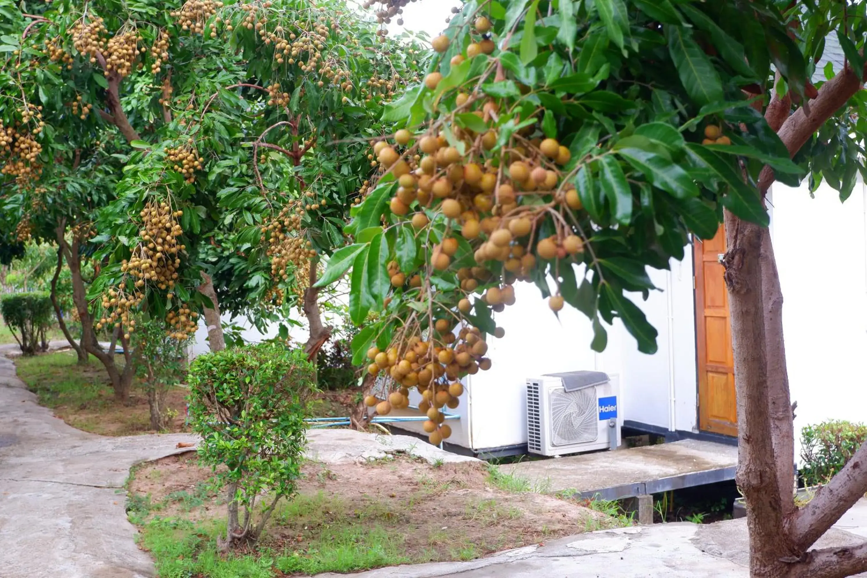 Property building in Nok Chan Mee Na Property building in Nok Chan Mee Na