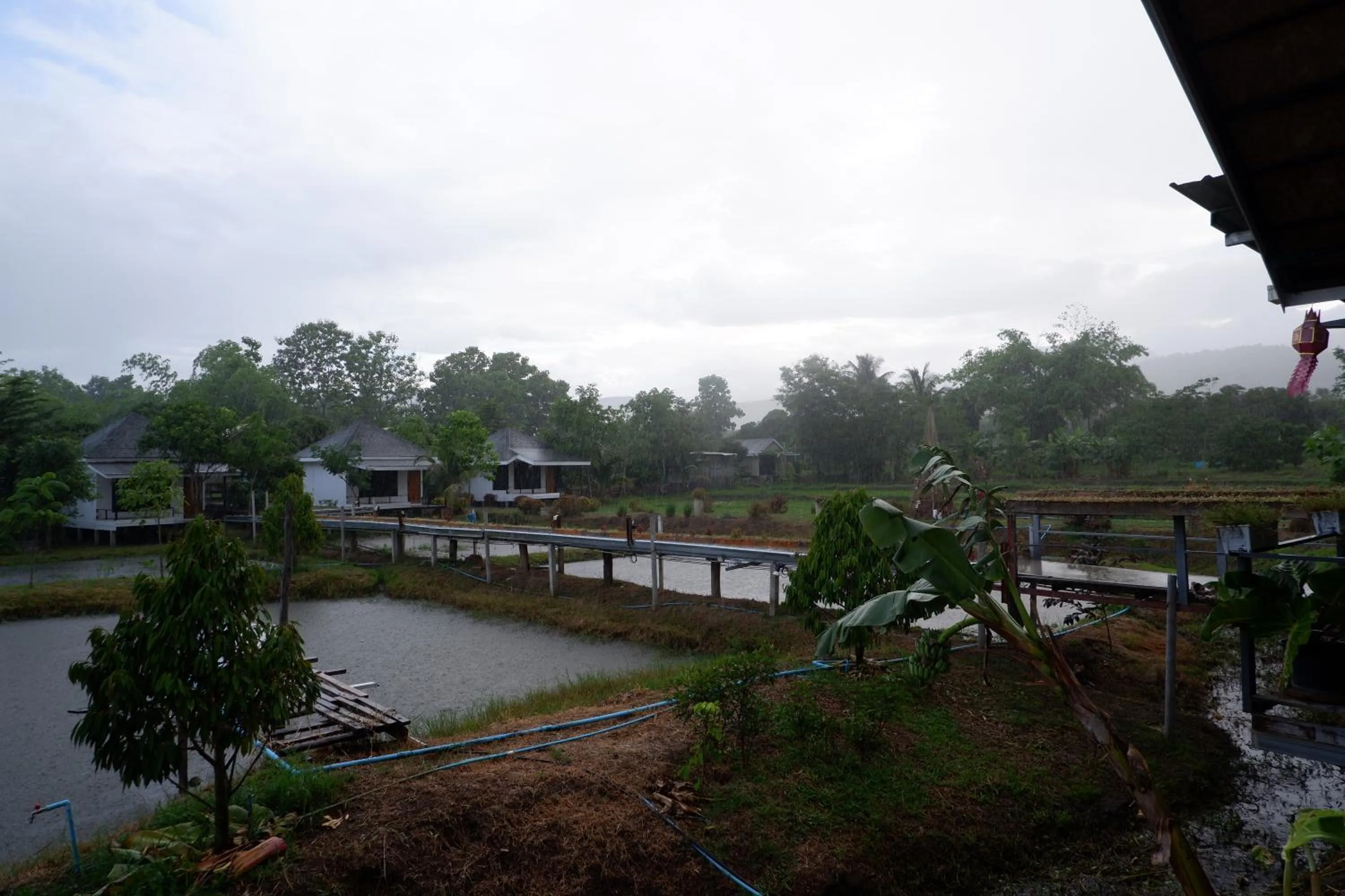 Inner courtyard view in Nok Chan Mee Na