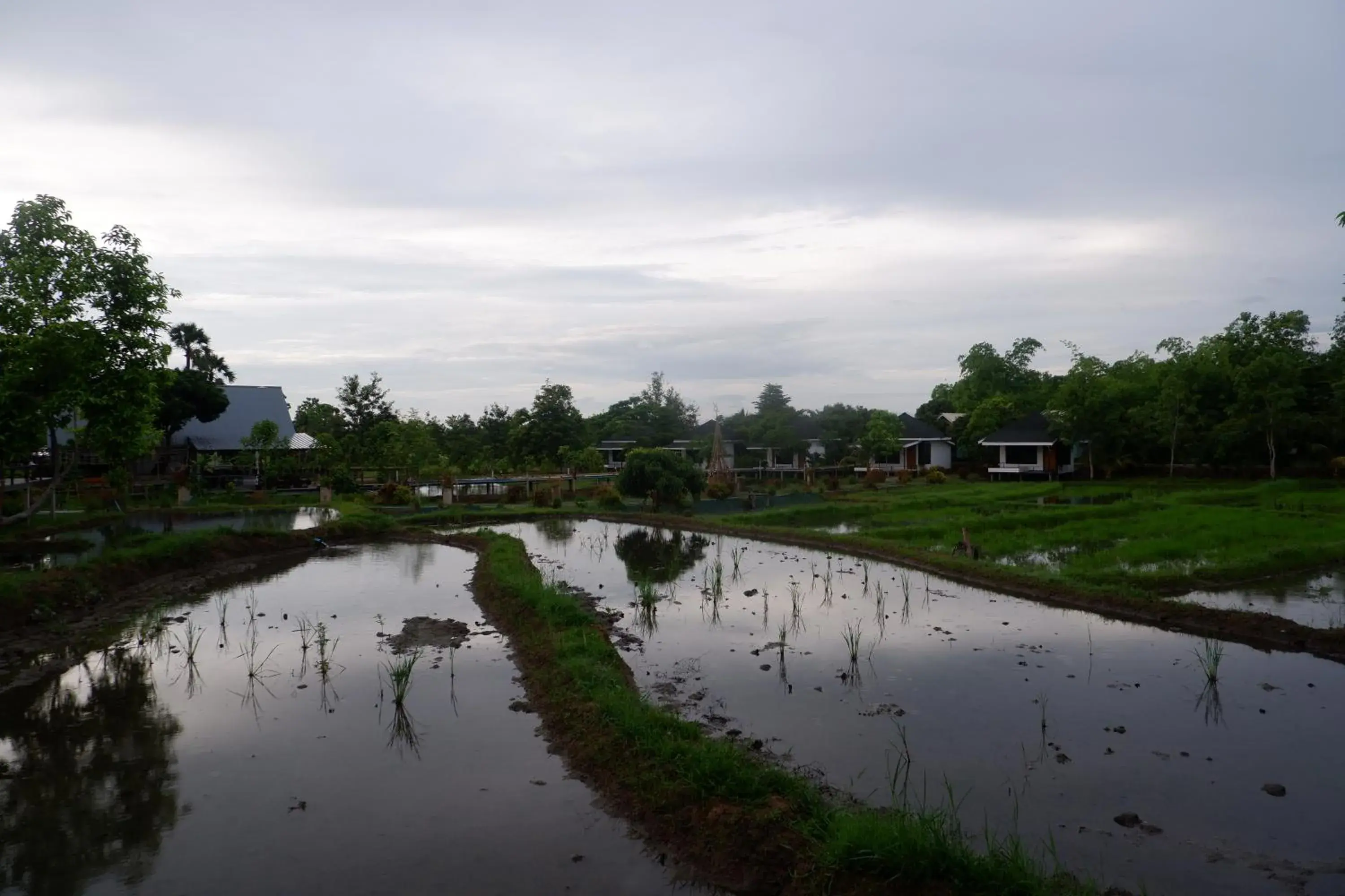 Inner courtyard view in Nok Chan Mee Na Inner courtyard view in Nok Chan Mee Na
