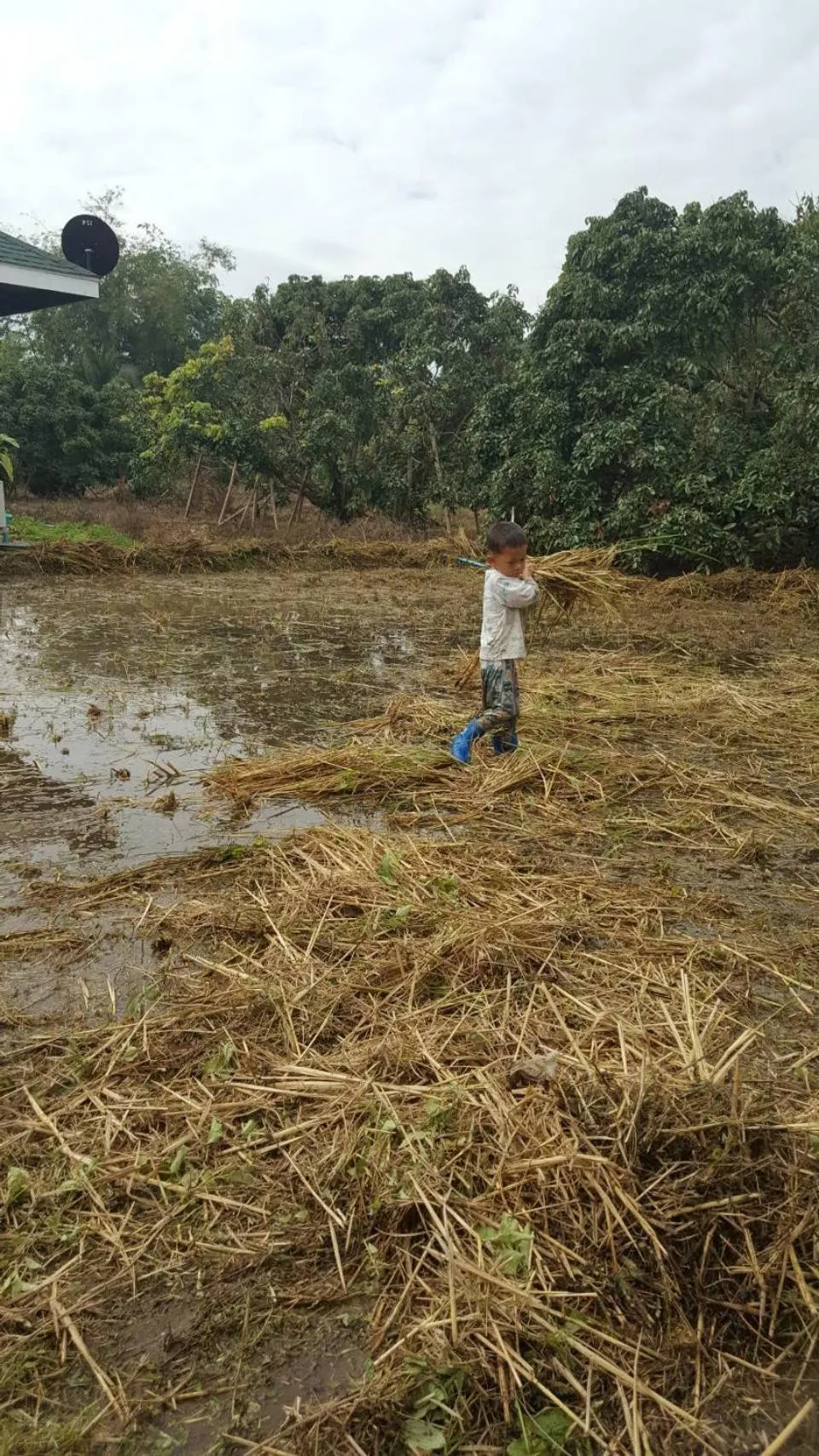Property building in Nok Chan Mee Na