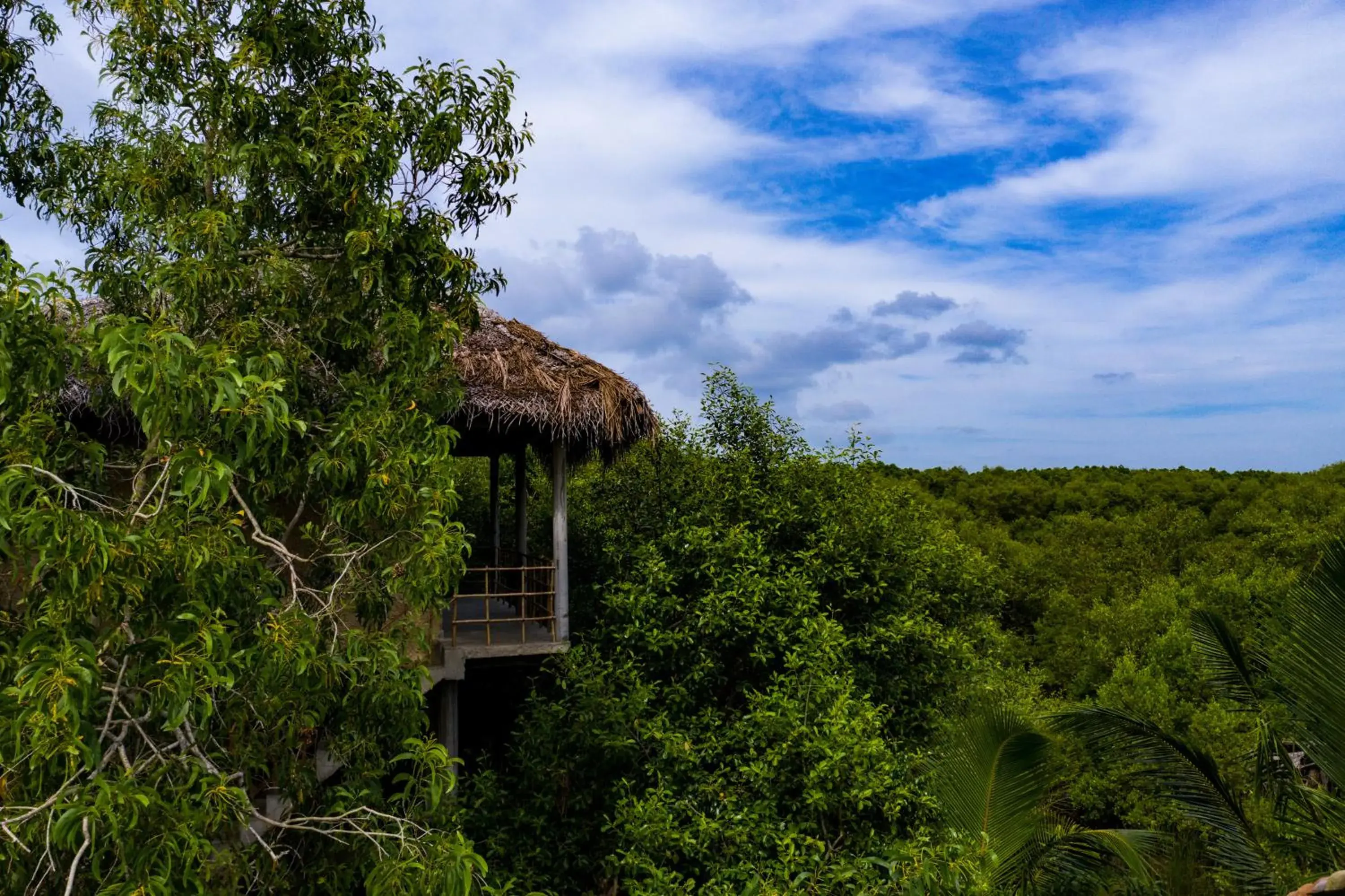 Mermaid Cabana and Tree Houses Mermaid Cabana and Tree Houses