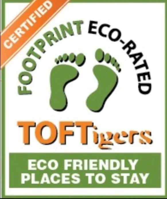 After the Rains - Rainforest Lodge