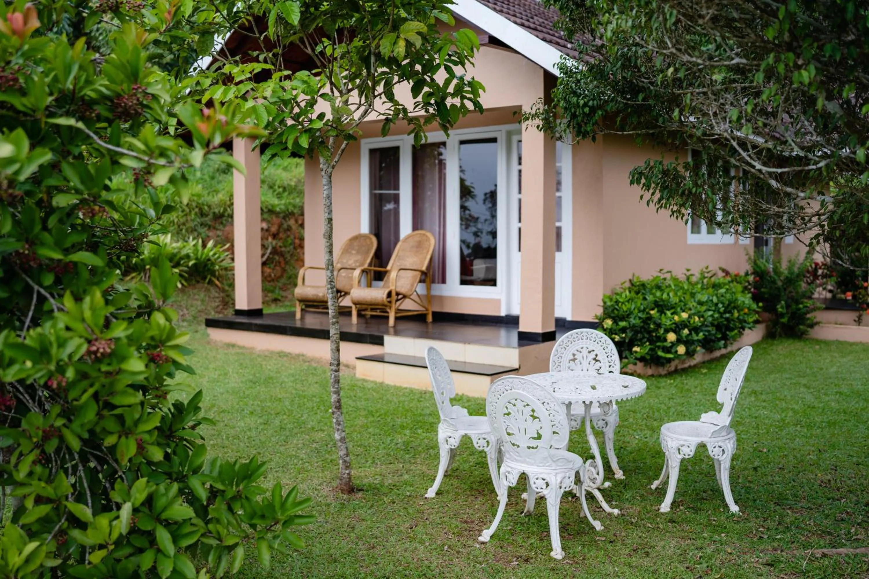 After the Rains - Rainforest Lodge