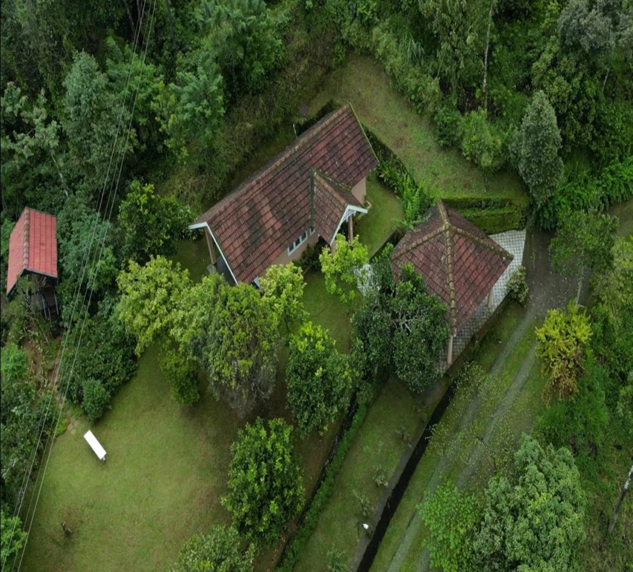 After the Rains - Rainforest Lodge
