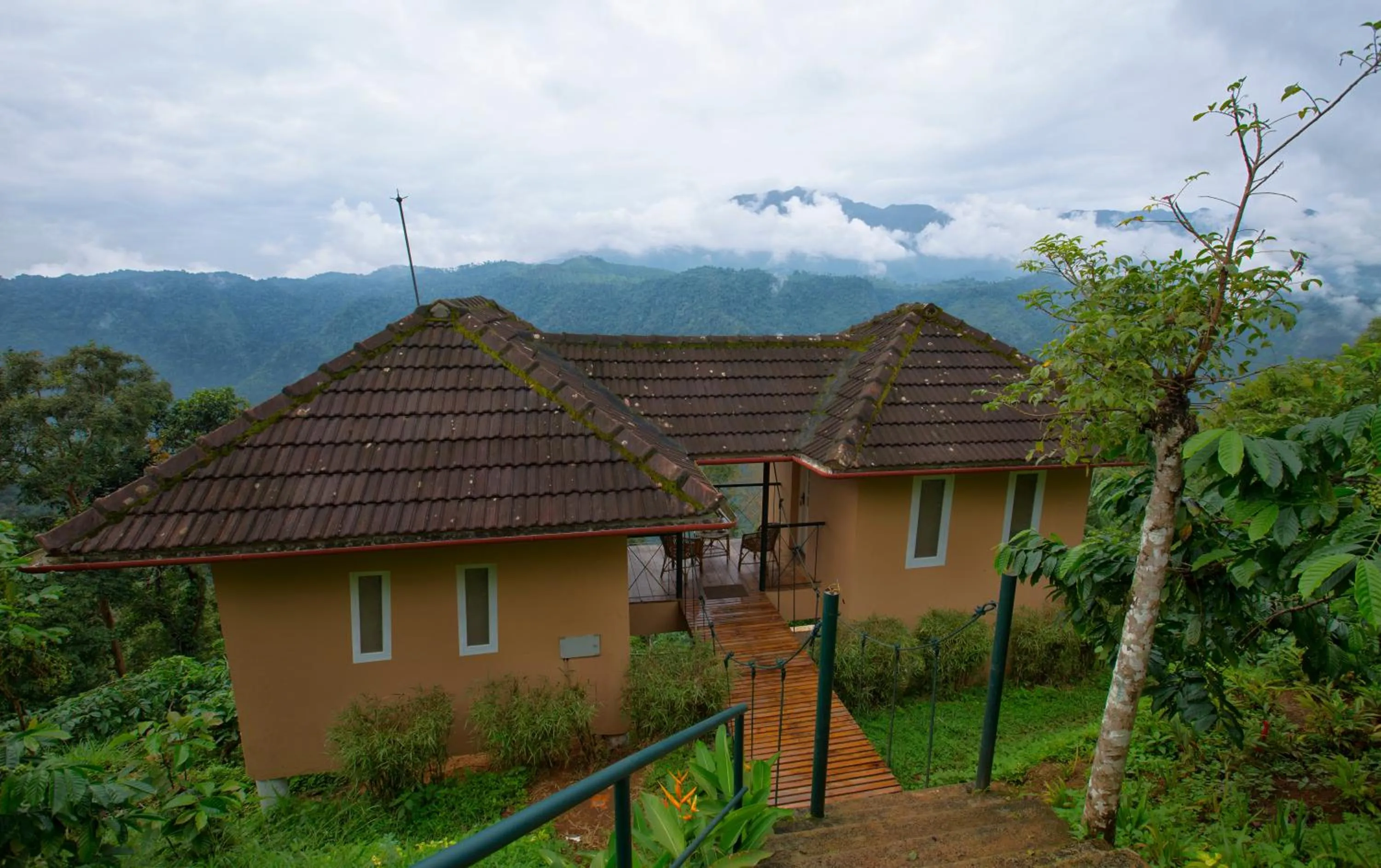 After the Rains - Rainforest Lodge