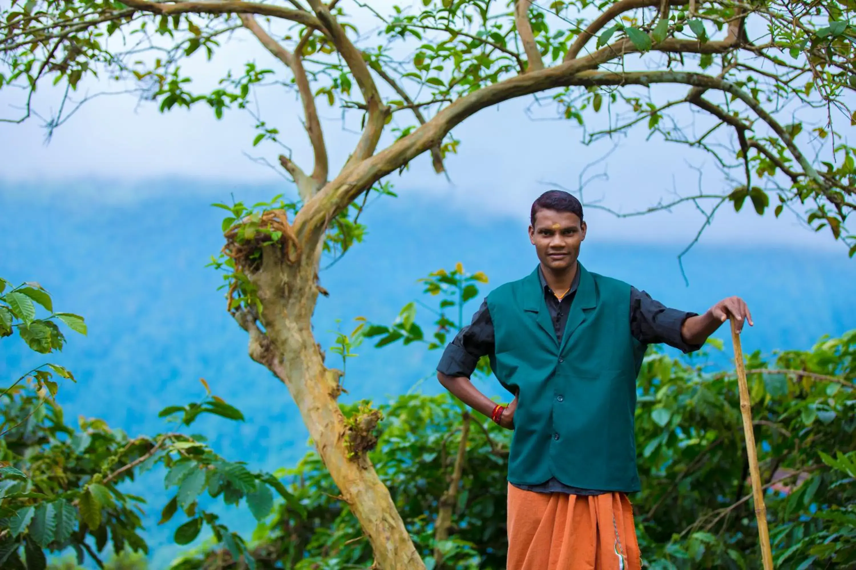 Property building in After the Rains - Rainforest Lodge Property building in After the Rains - Rainforest Lodge