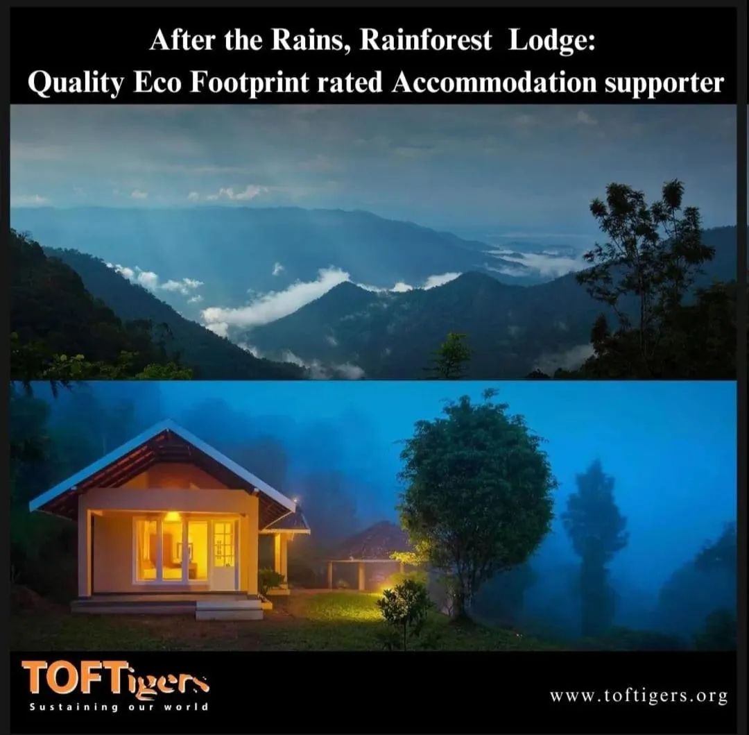 Property building in After the Rains - Rainforest Lodge