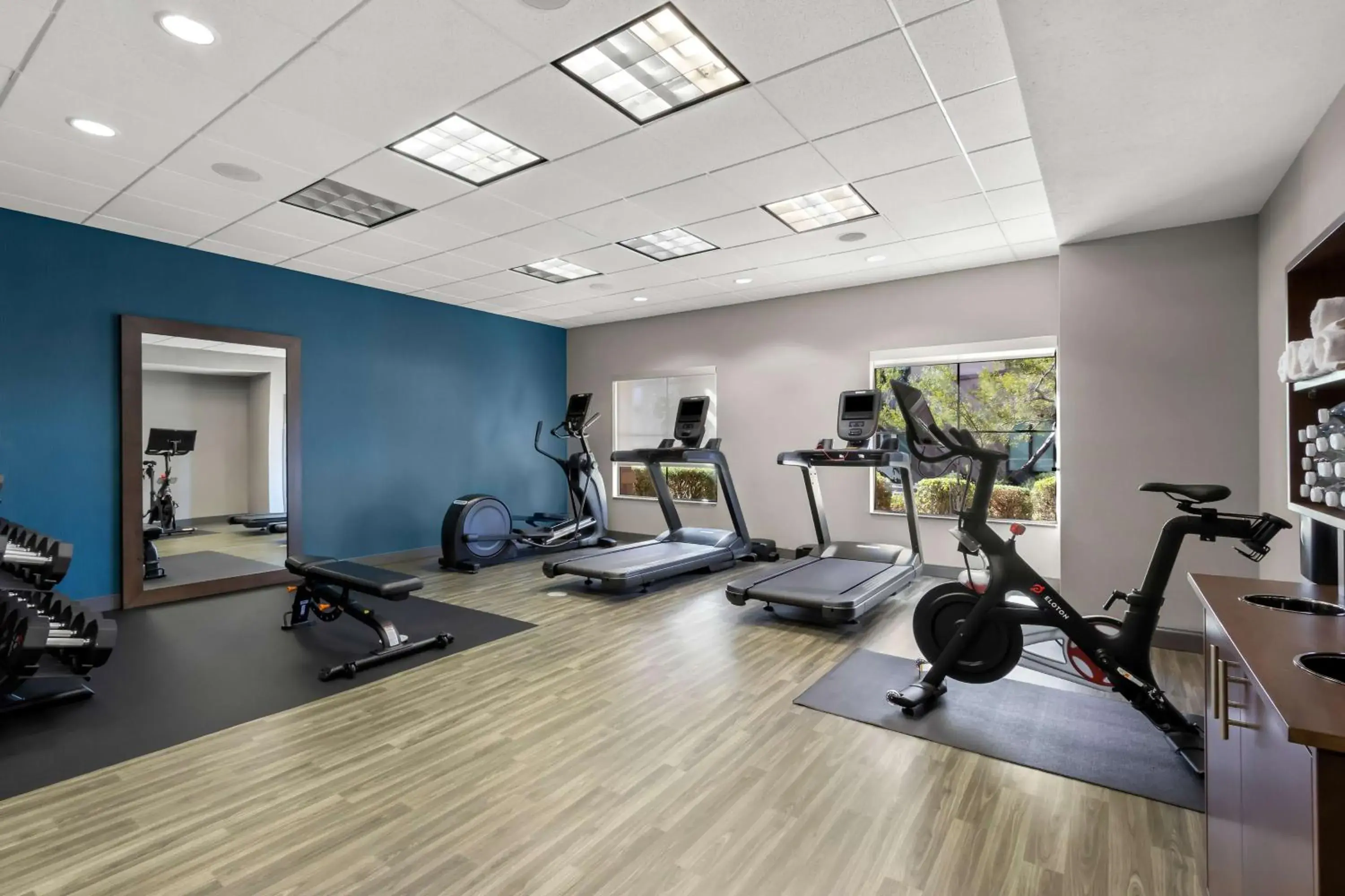 Fitness centre/facilities in Hampton Inn & Suites Phoenix/Gilbert Fitness centre/facilities in Hampton Inn & Suites Phoenix/Gilbert