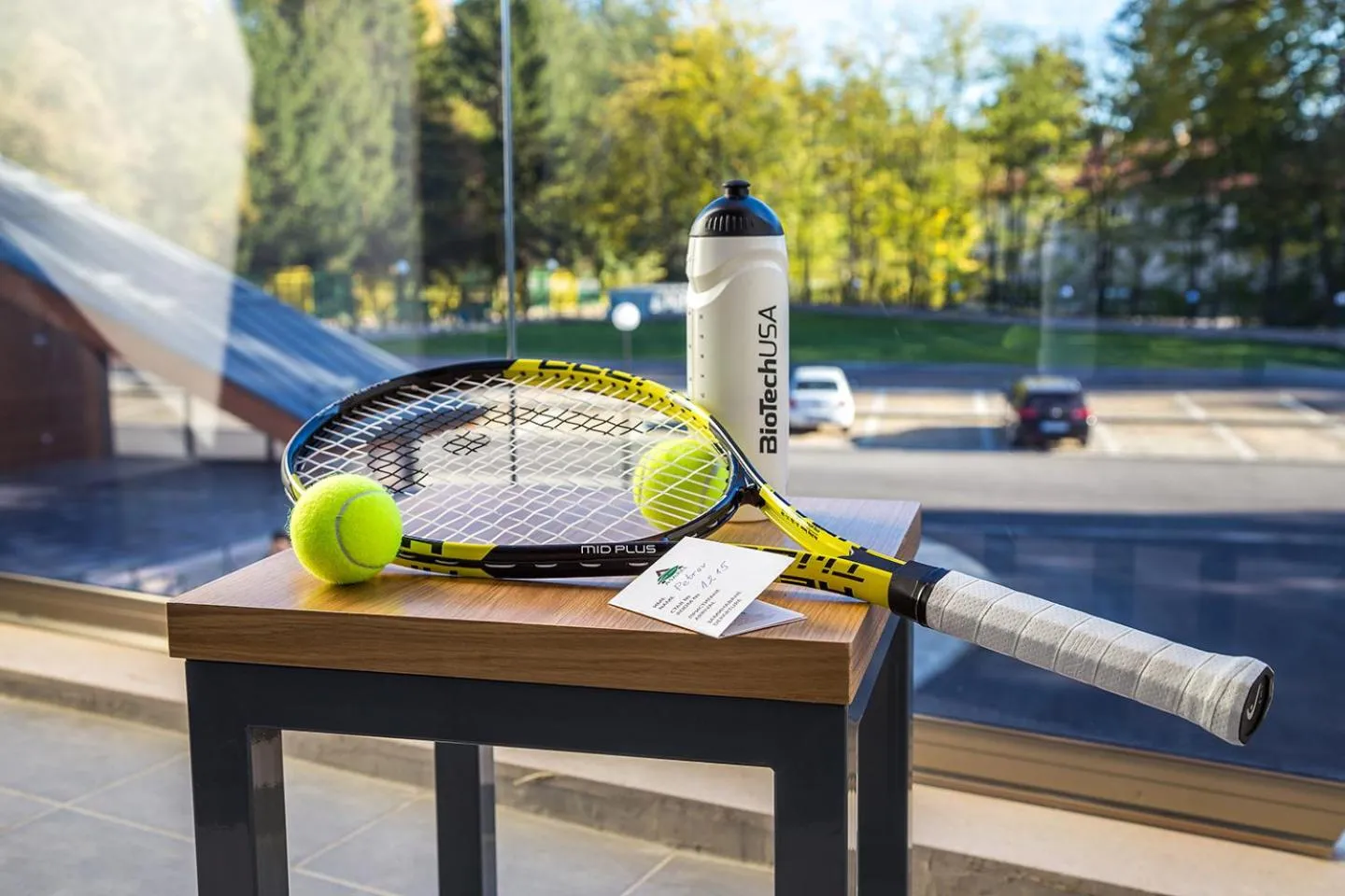 Activities in Park Hotel Asarel