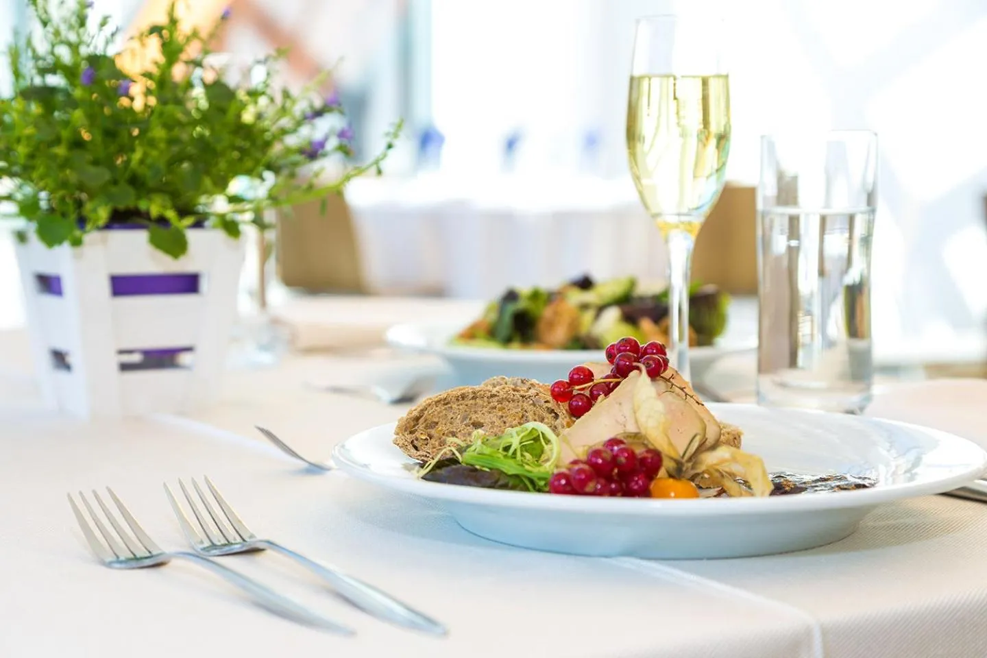 Restaurant/places to eat in Park Hotel Asarel