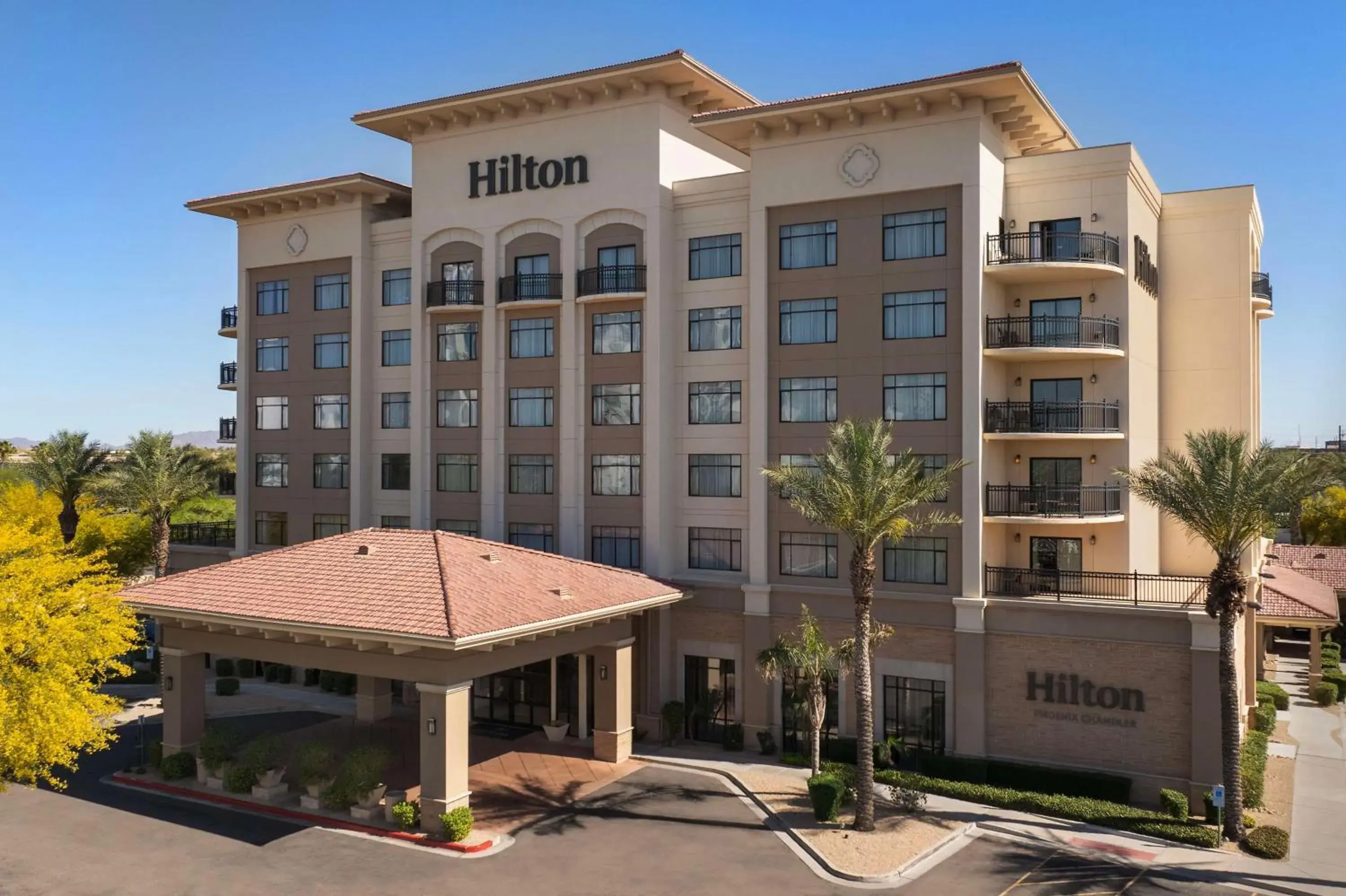 Property building in Hilton Phoenix Chandler Property building in Hilton Phoenix Chandler