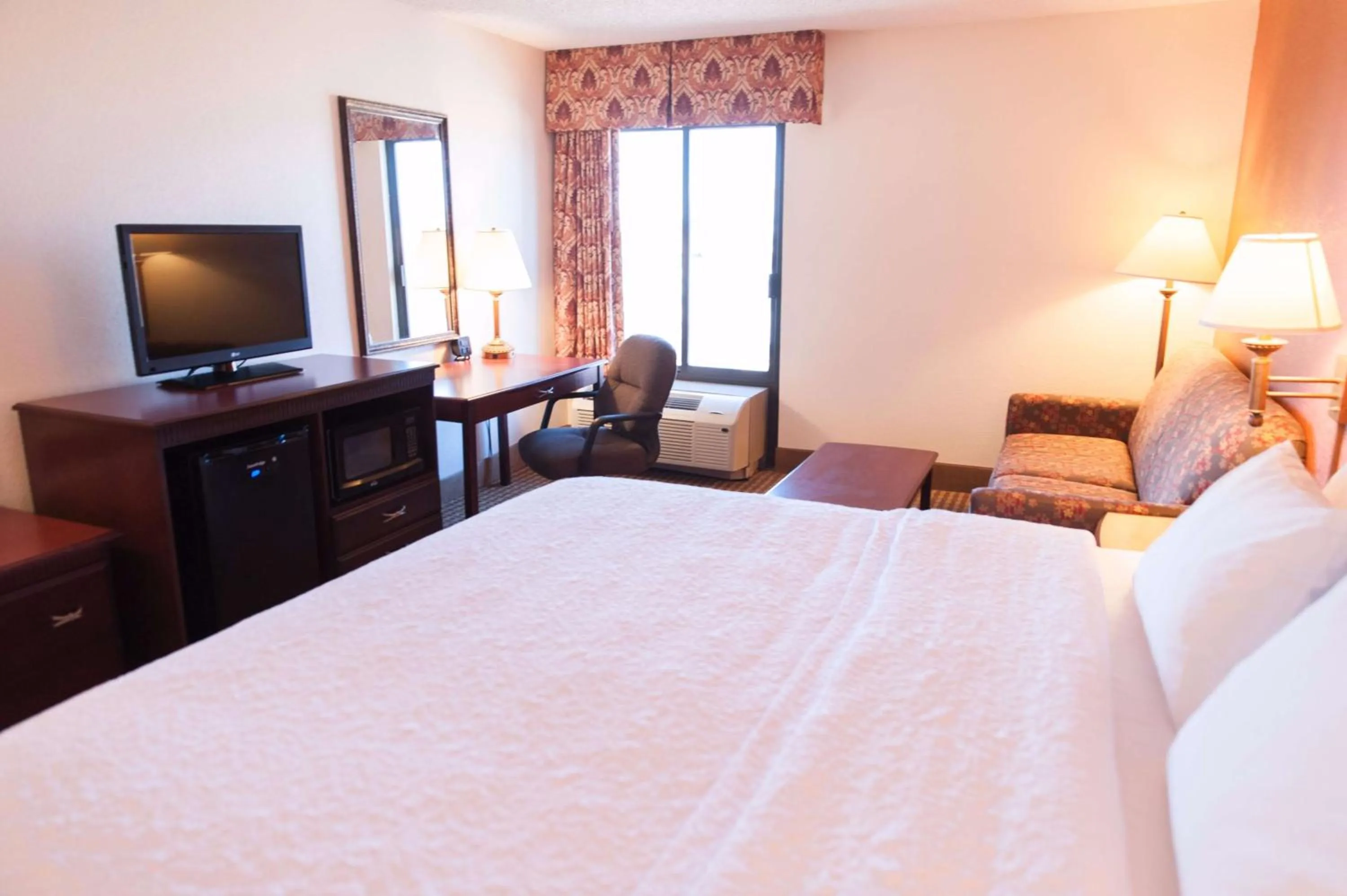 King Room with Sofa Bed - Non-Smoking in Hampton by Hilton - North Platte