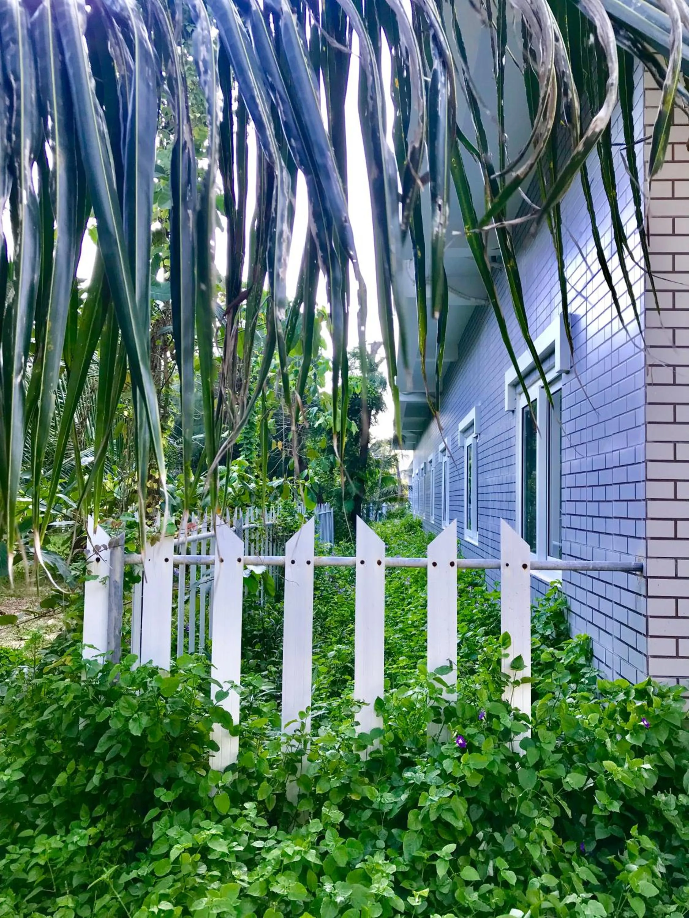 Property building in Oceanward Hotel & Resort