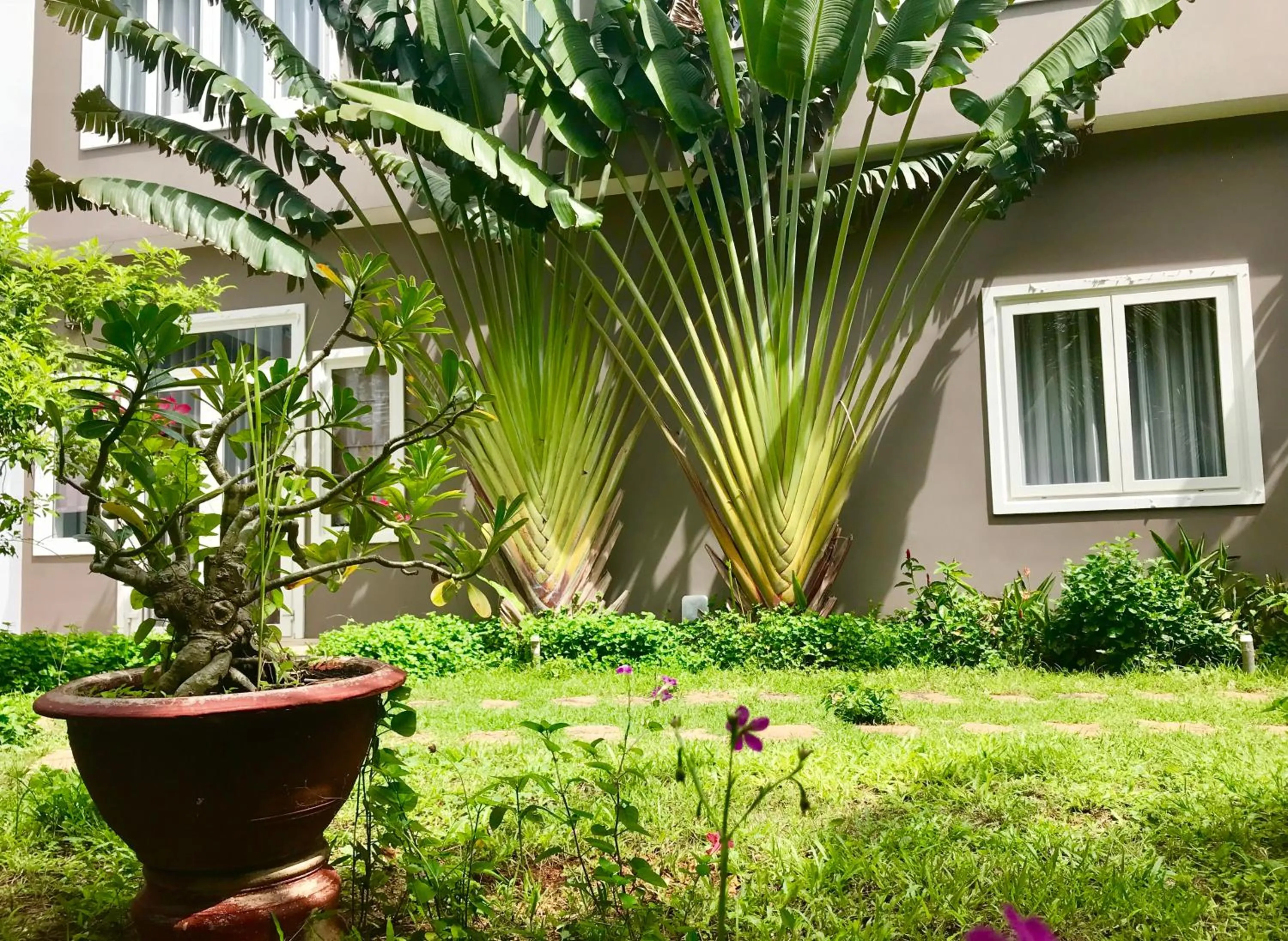 Oceanward Hotel & Resort