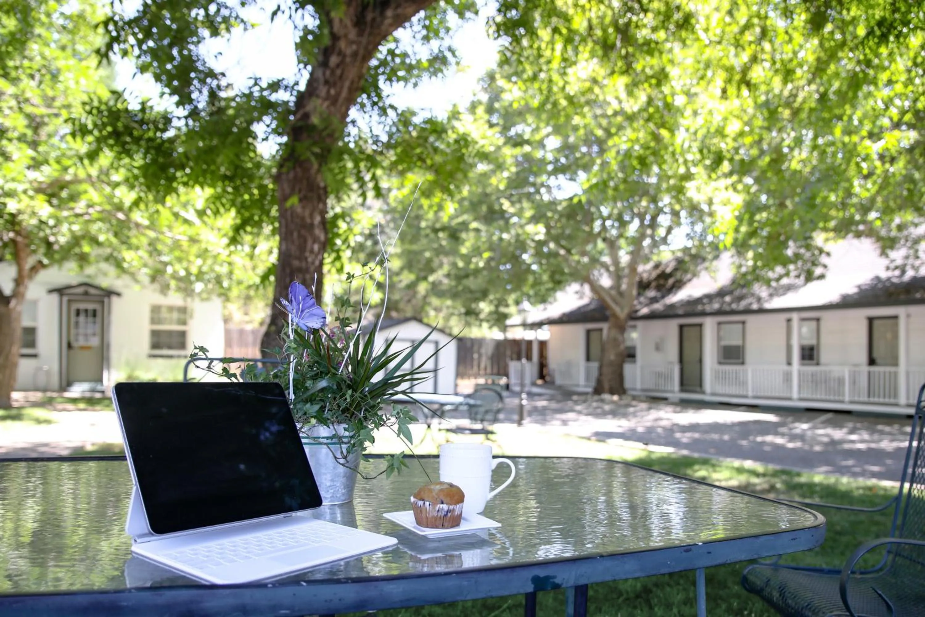 Natural landscape in Sierra Mountain Inn