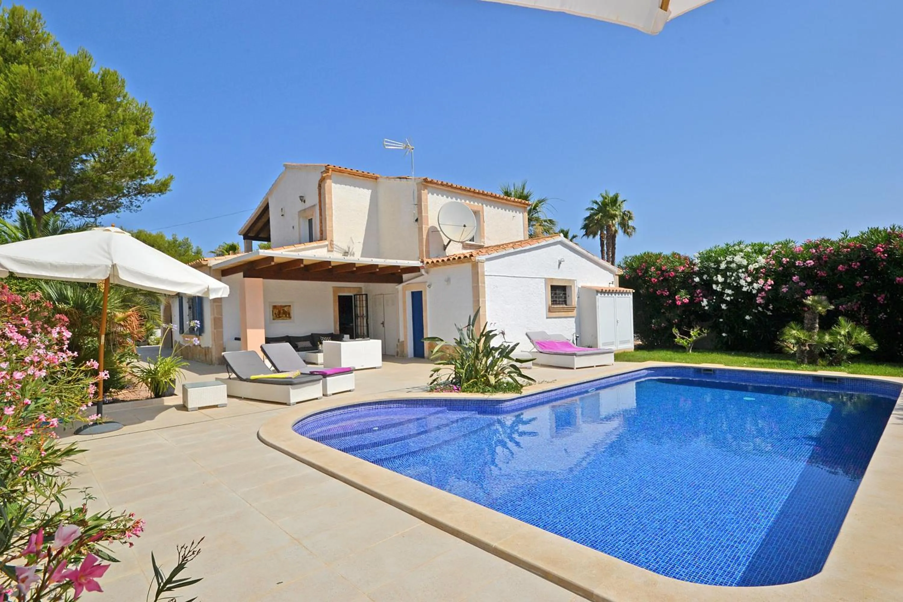 Swimming pool in Villa Odette
