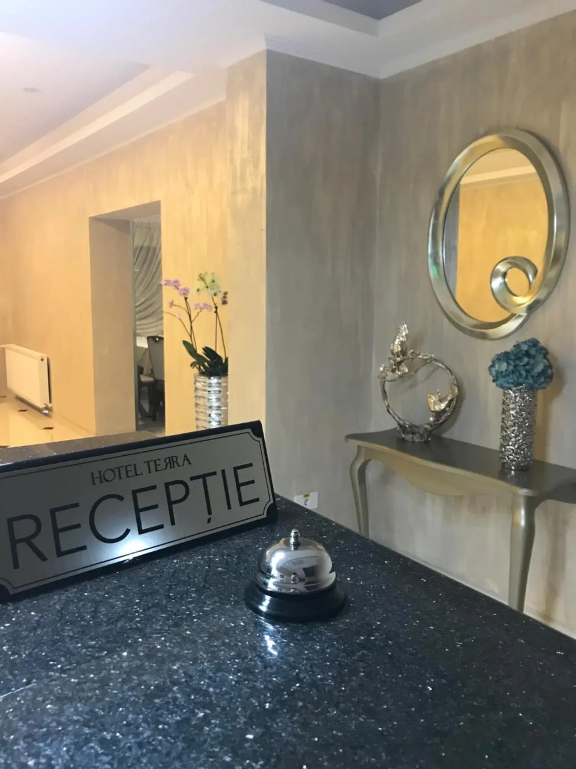 Lobby or reception in Hotel Terra Iasi