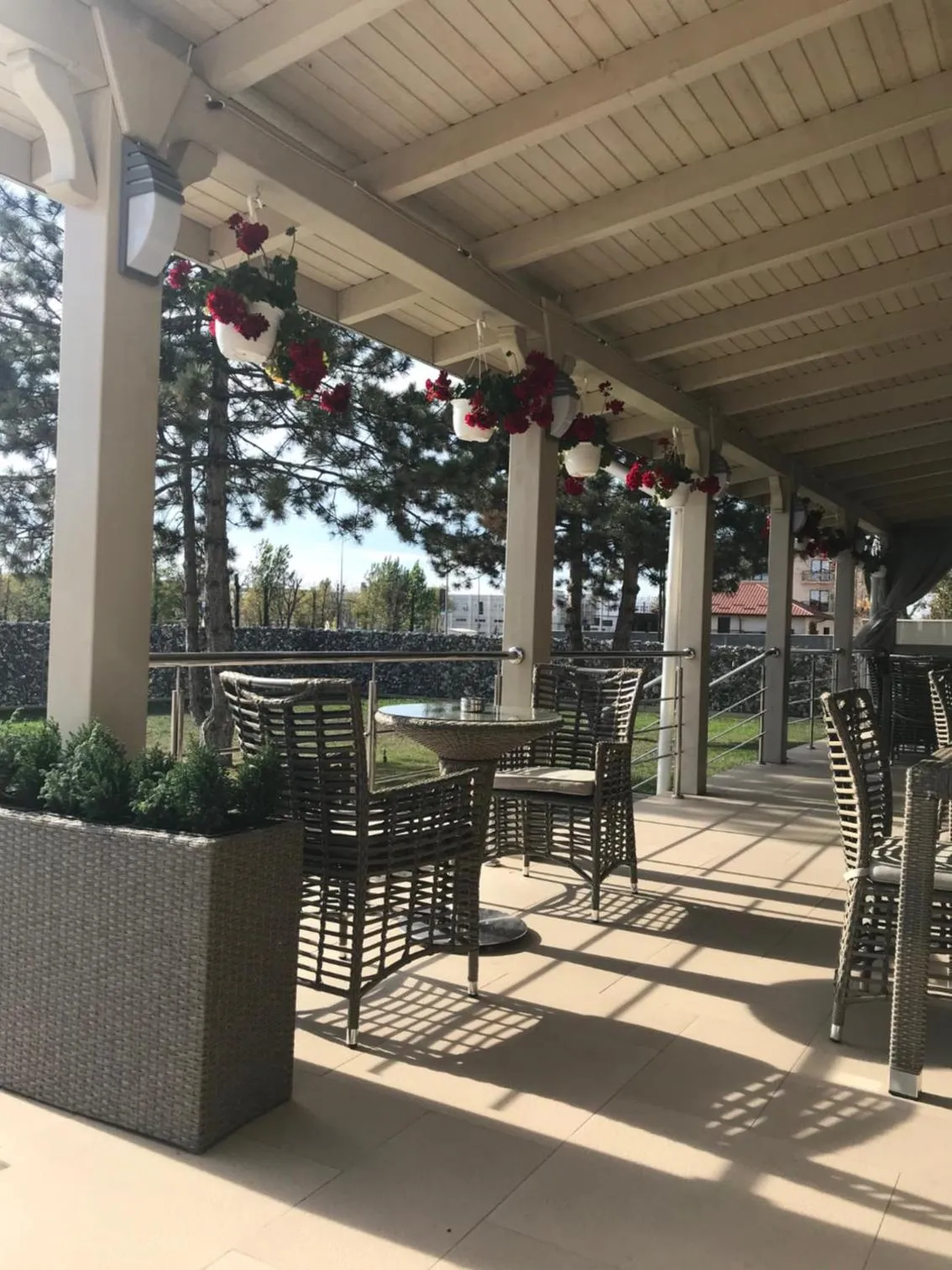 Balcony/Terrace in Hotel Terra Iasi