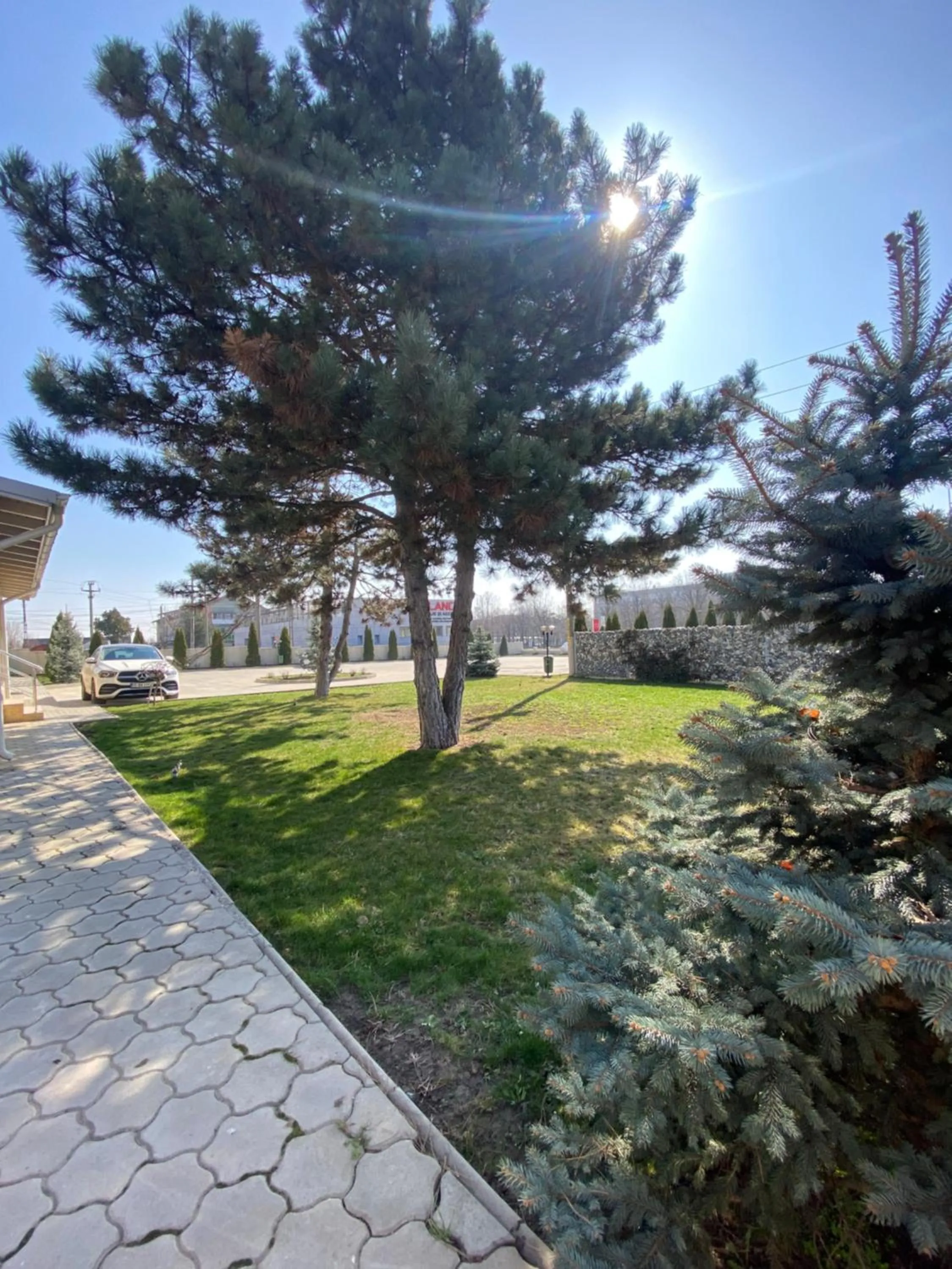Garden in Hotel Terra Iasi