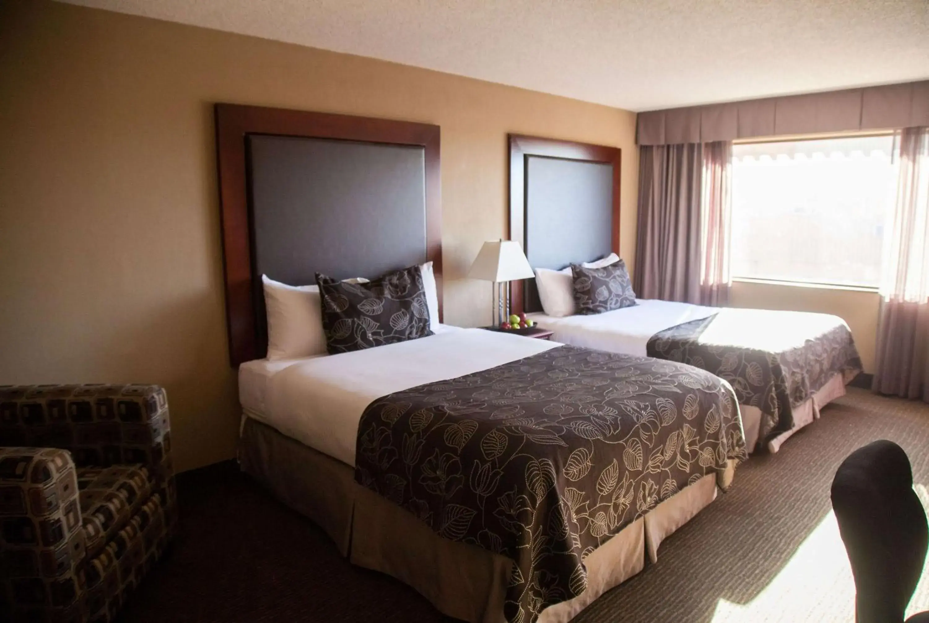 Photo of the whole room, Bed in Medicine Hat Lodge, Trademark Collection by Wyndham Photo of the whole room, Bed in Medicine Hat Lodge, Trademark Collection by Wyndham