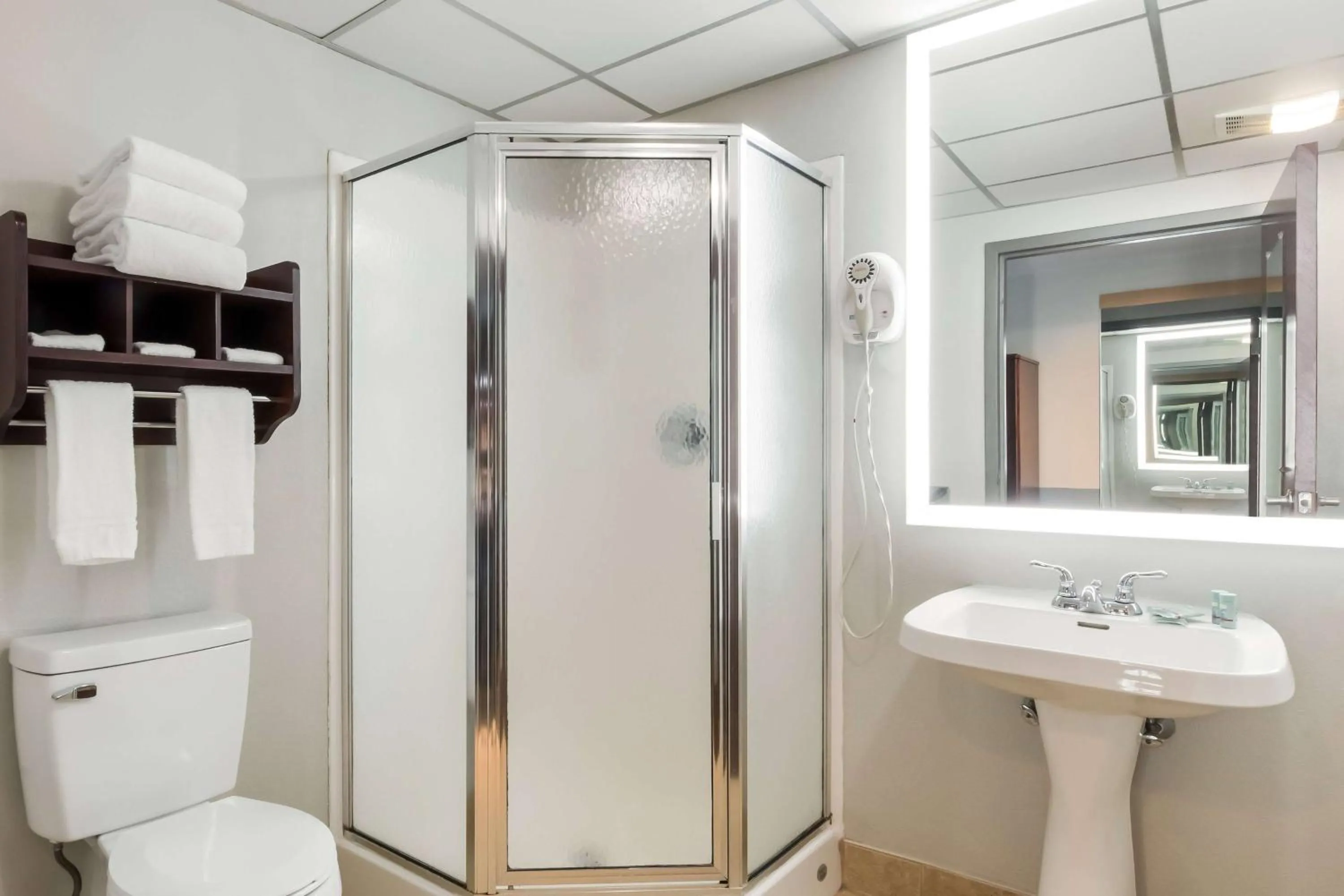 Bathroom in Best Western Burlington Inn