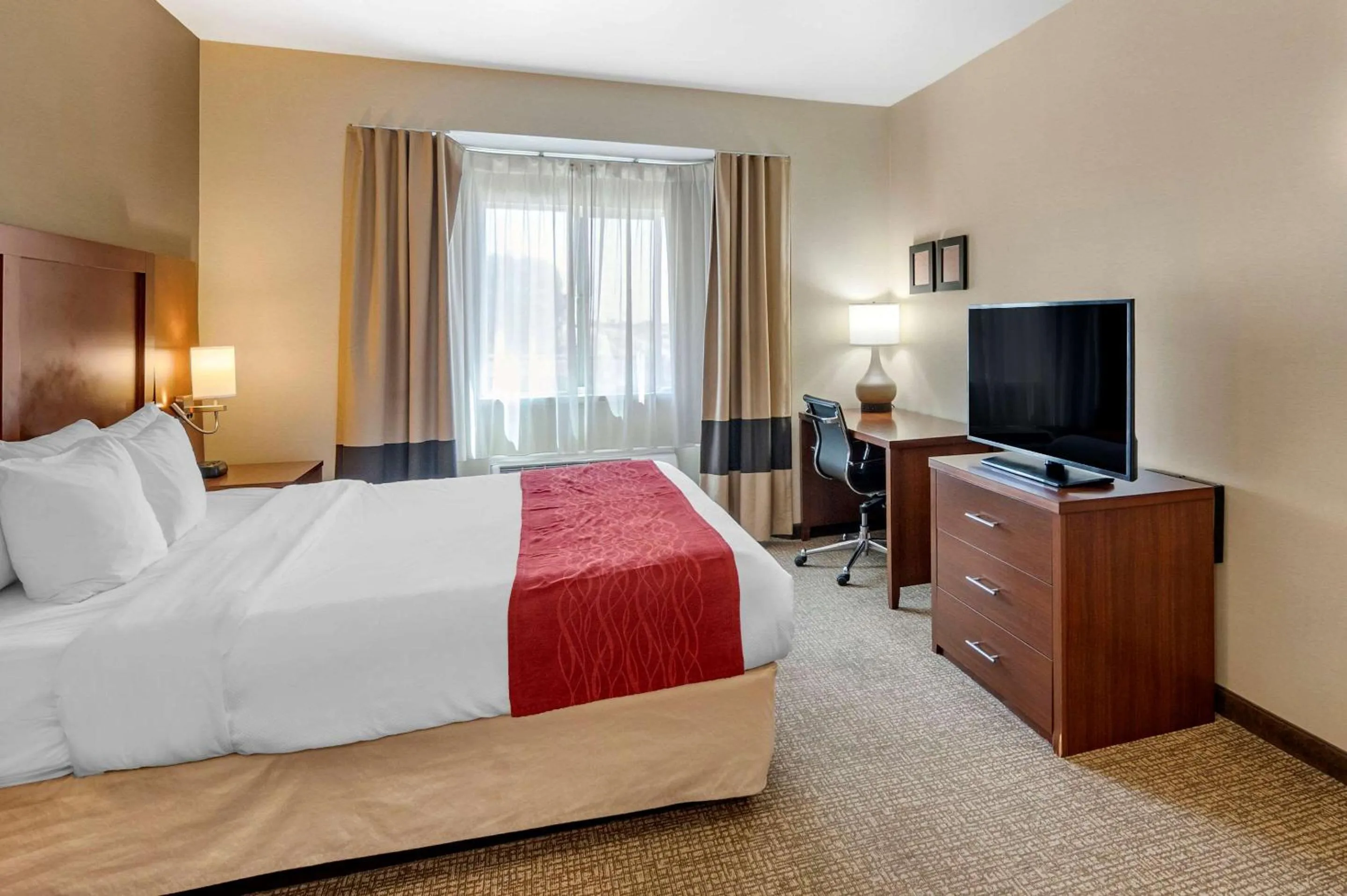 Bed in THE ATRIUM HOTEL SFO AIRPORT - FREE Shuttle & Breakfast