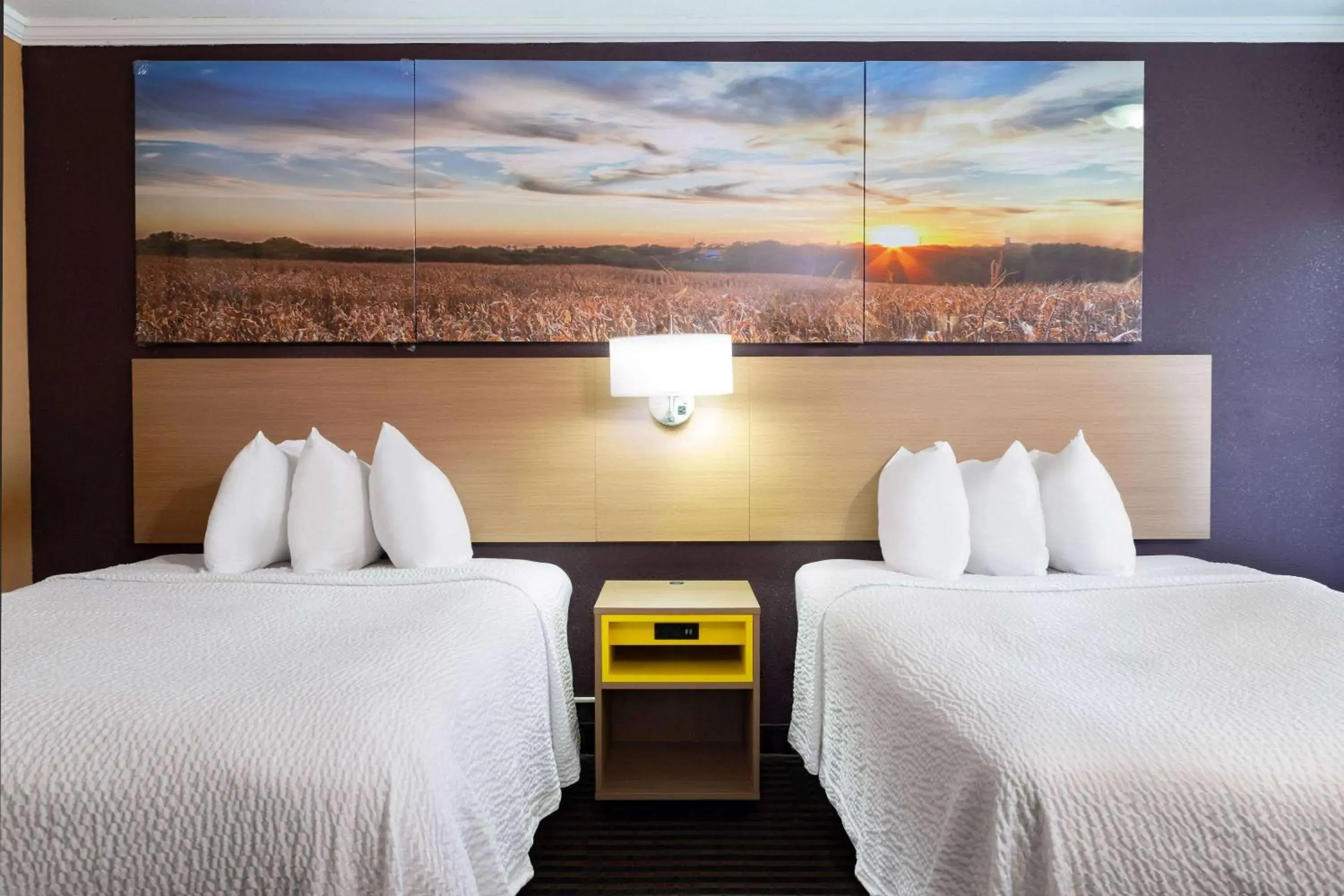 Photo of the whole room, Bed in Days Inn by Wyndham Anderson IN Photo of the whole room, Bed in Days Inn by Wyndham Anderson IN