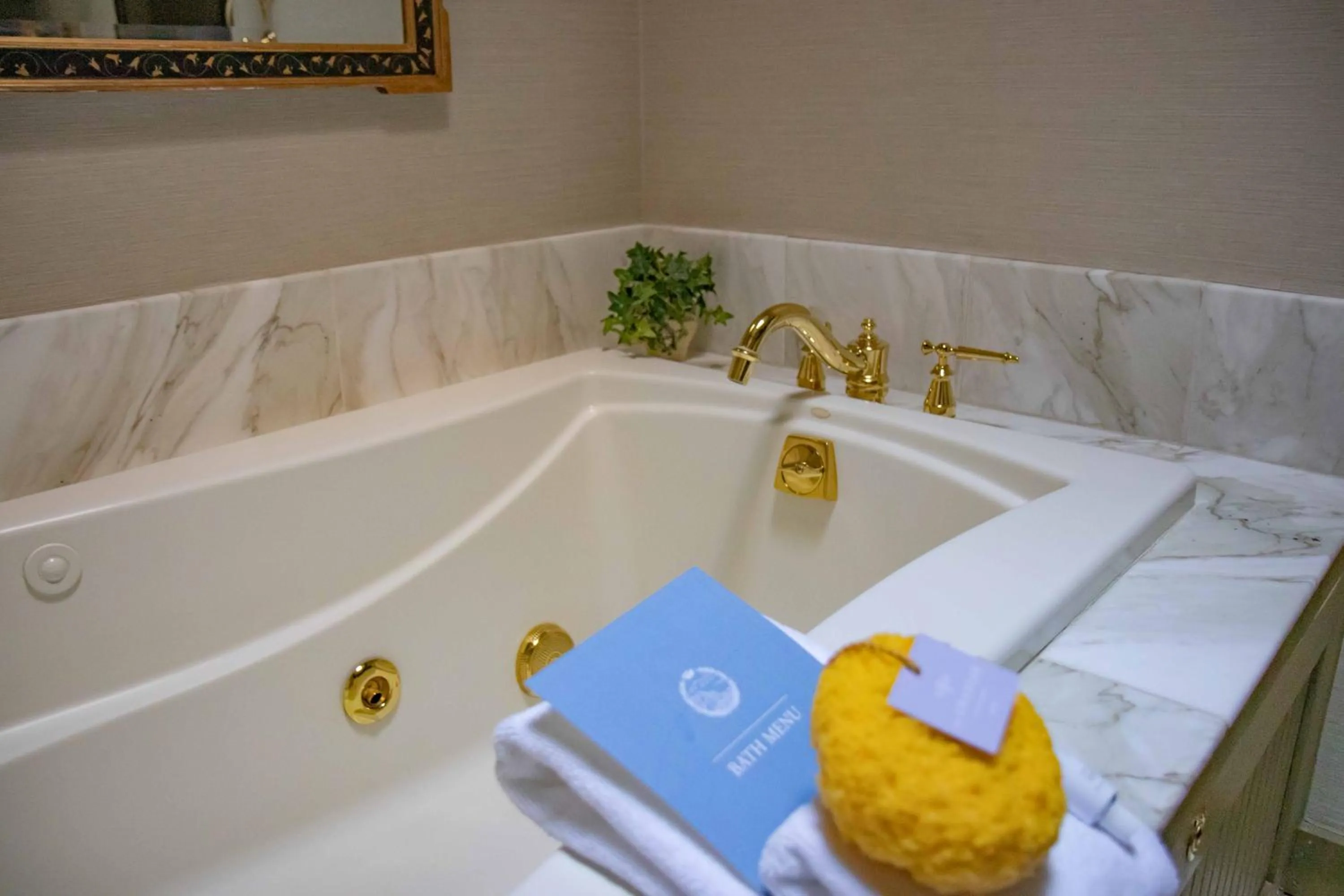 Bath in The Chanler at Cliff Walk