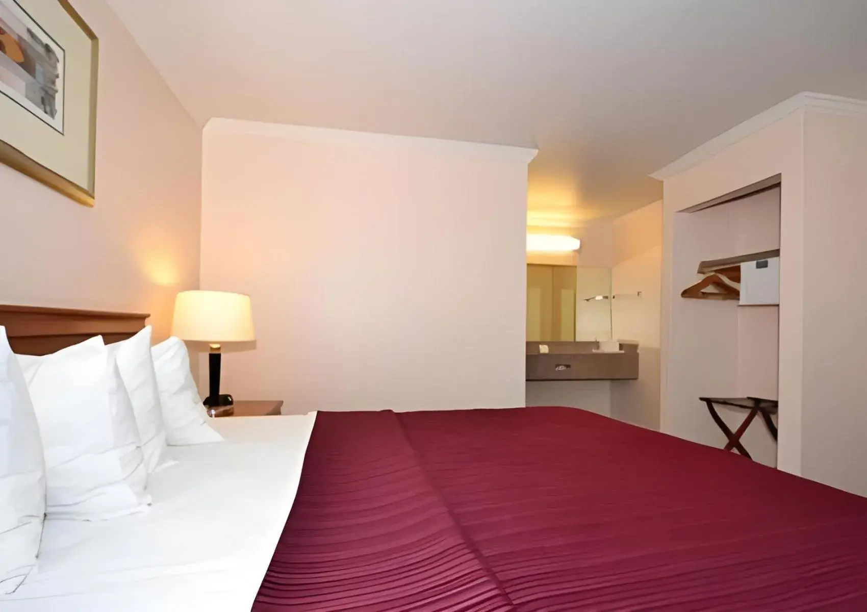 Bed in Quality Inn & Suites Gilroy Bed in Quality Inn & Suites Gilroy