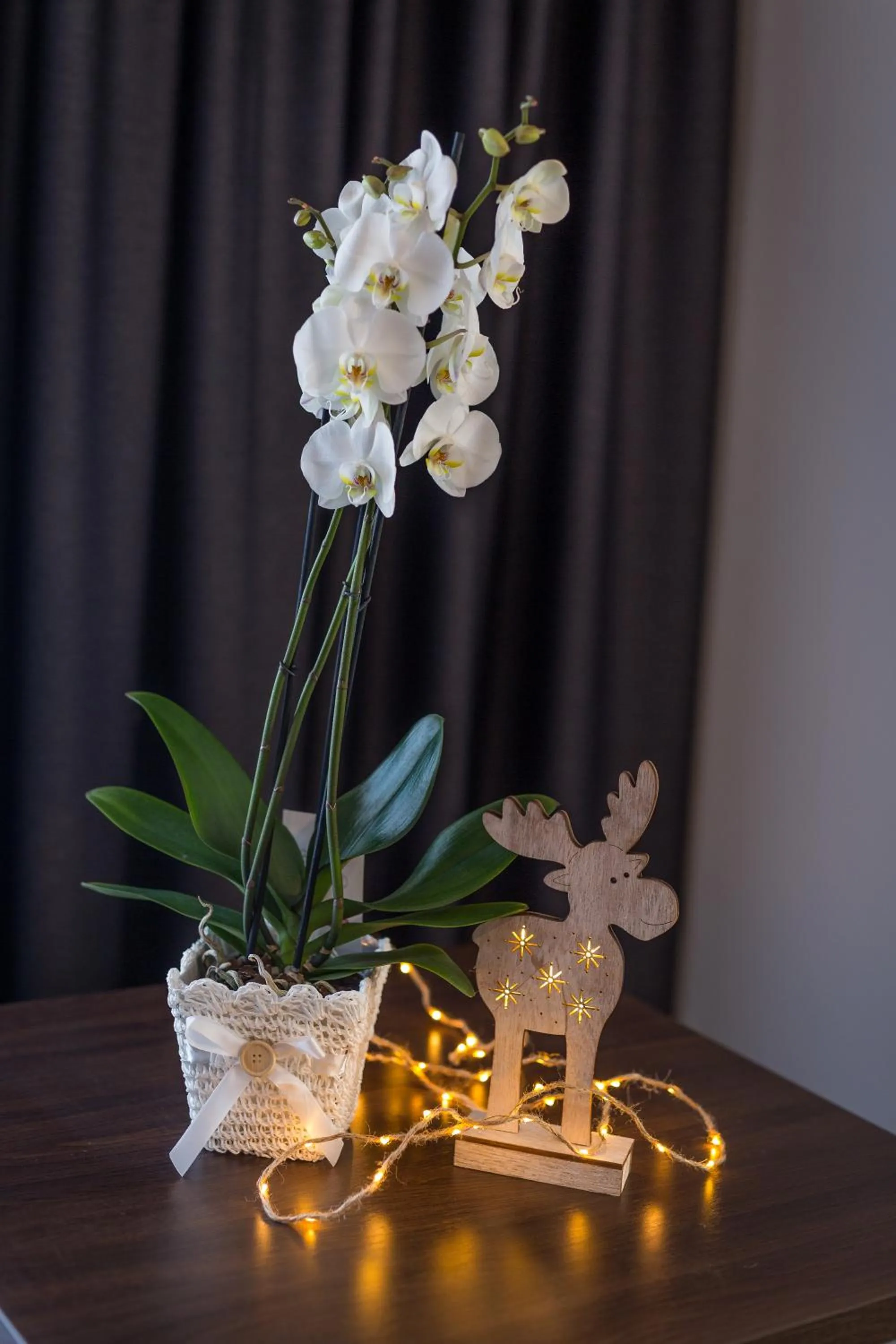 Decorative detail in Willa Stachoń