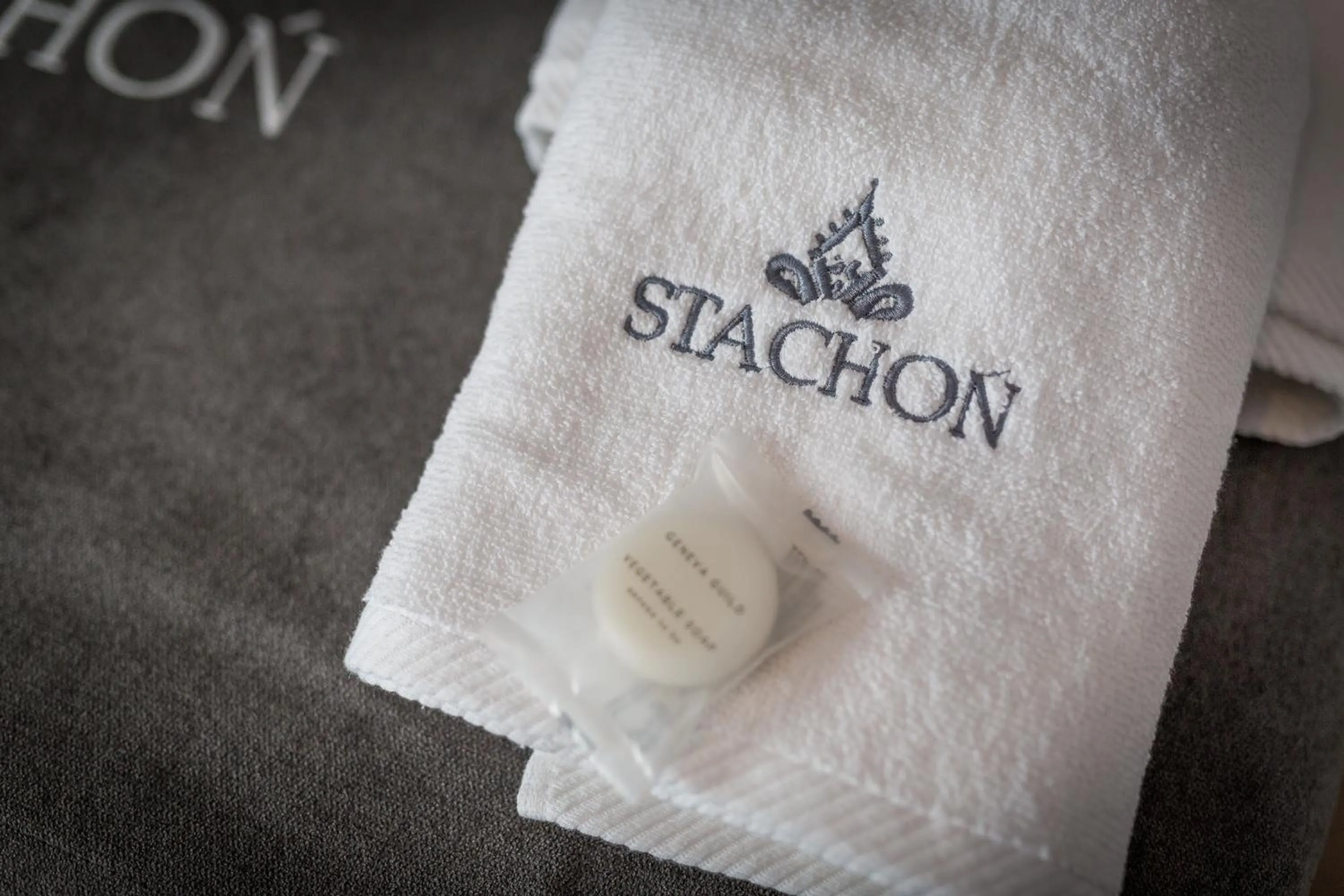 Decorative detail in Willa Stachoń