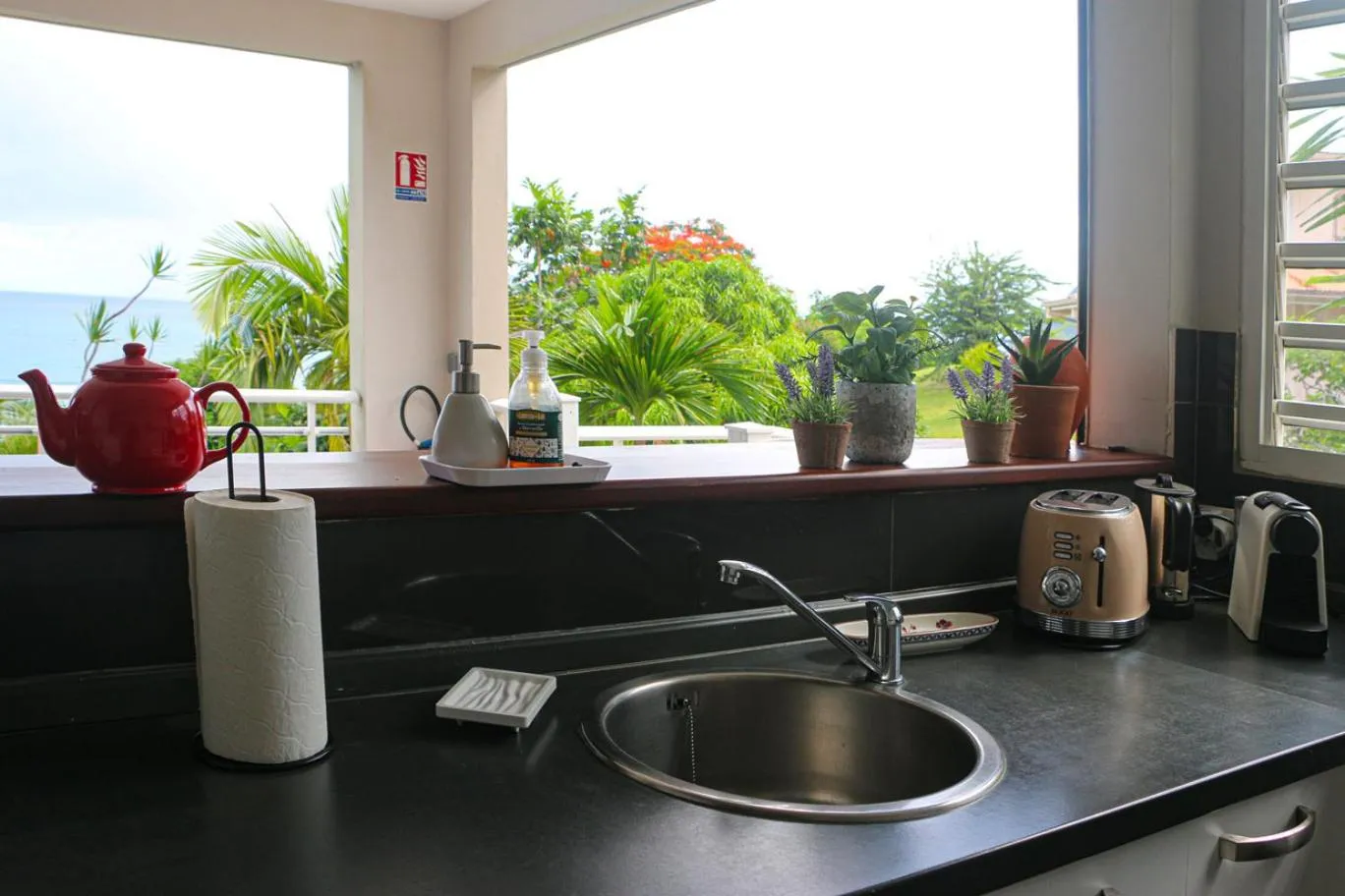 kitchen in Alyzes Diamant