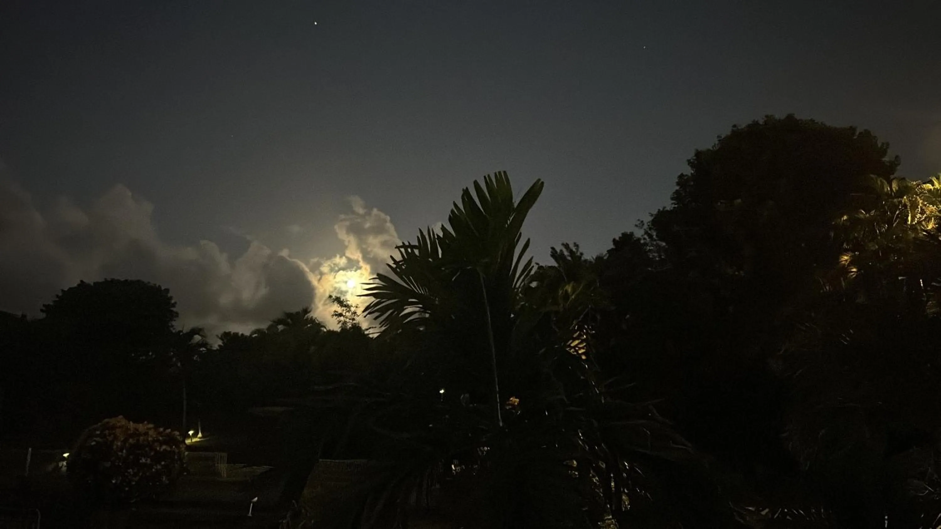 Night in Alyzes Diamant