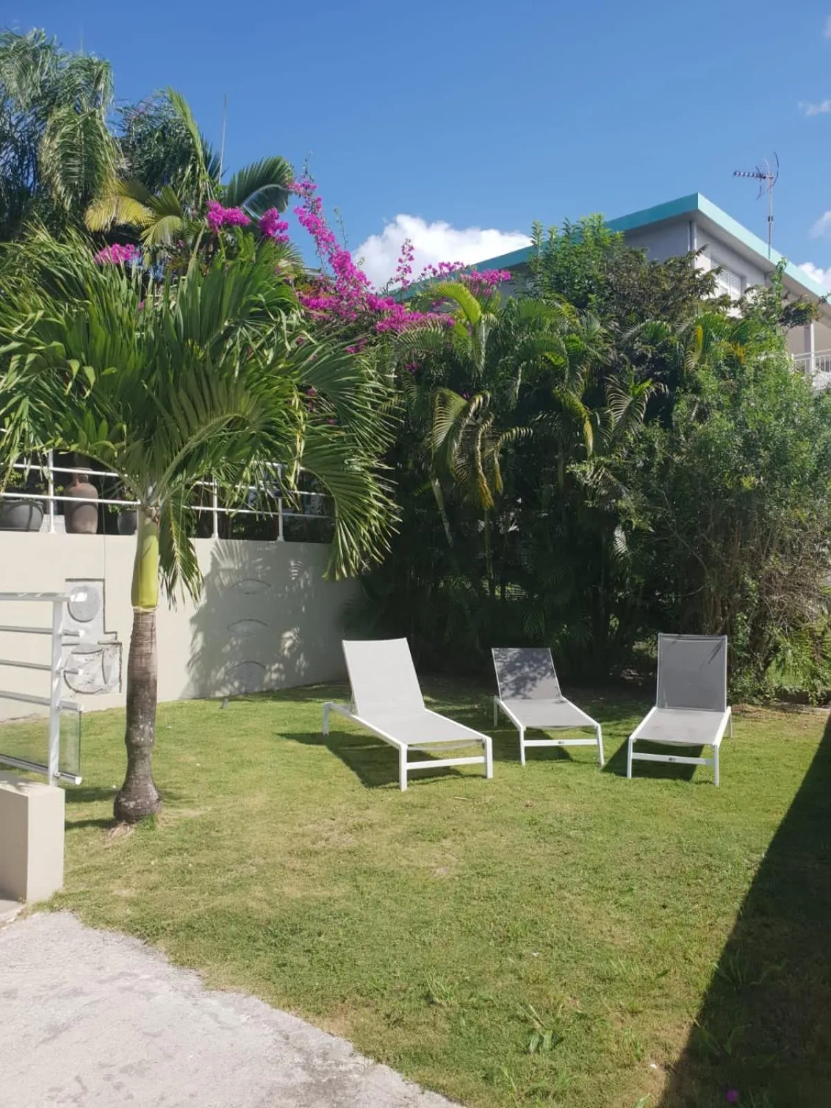 Day in Alyzes Diamant