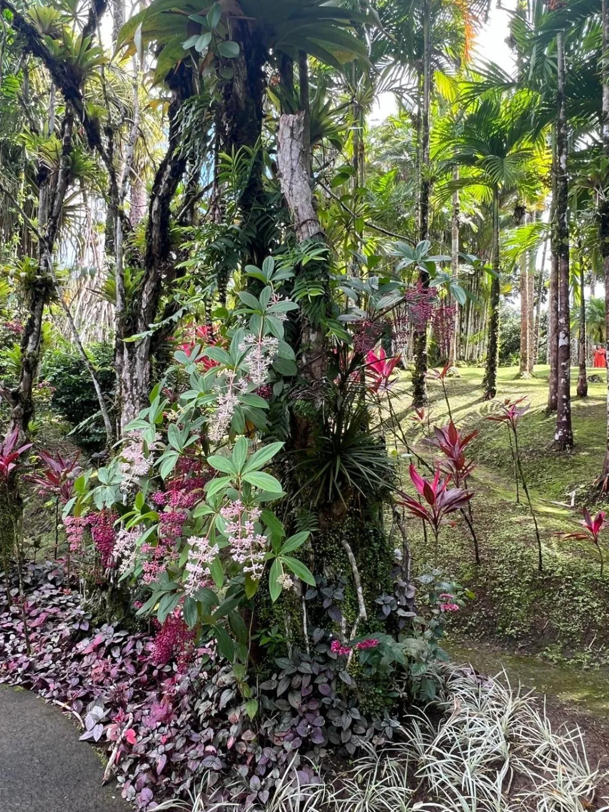 Natural landscape in Alyzes Diamant