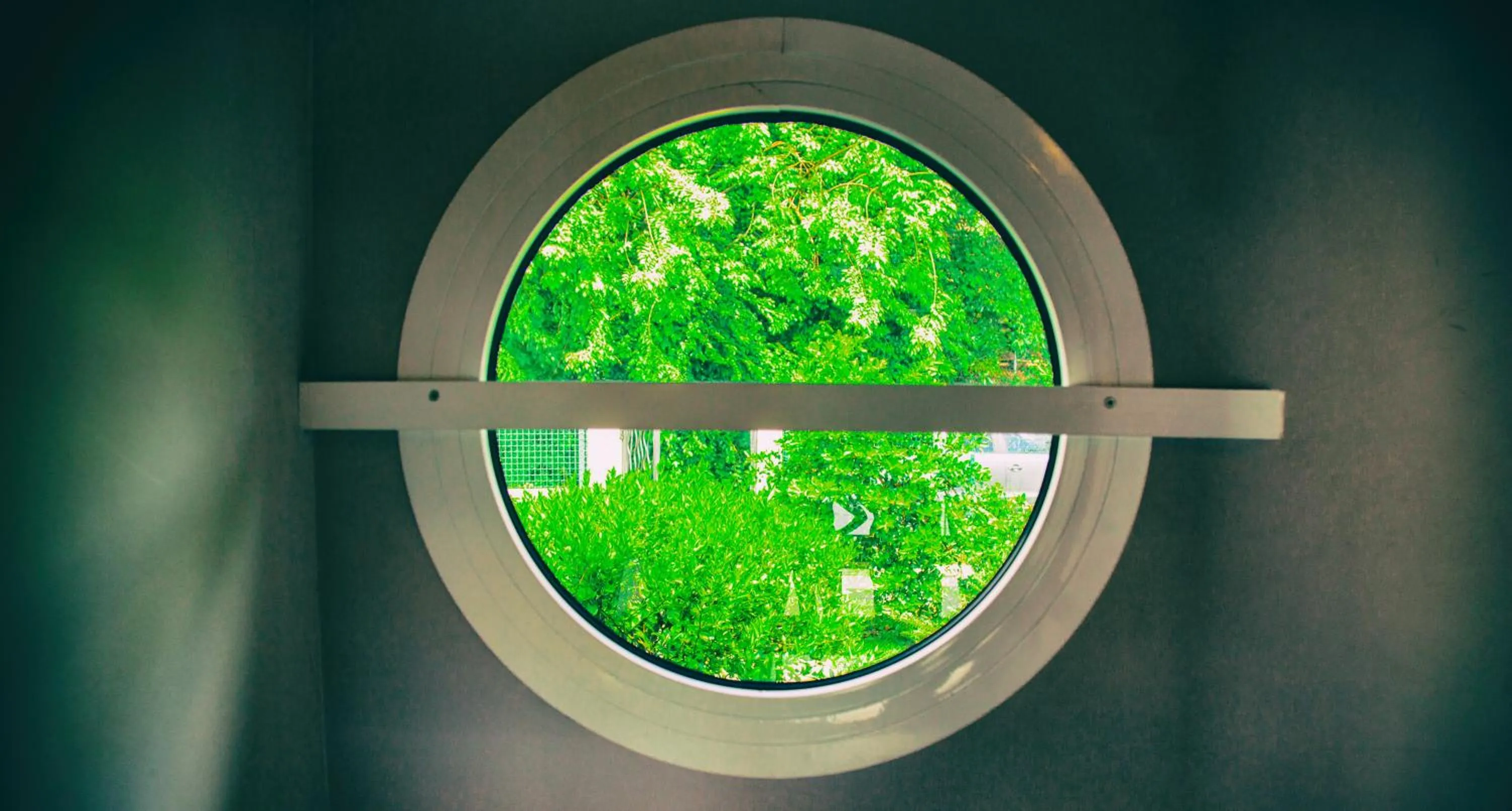 Garden view in Alyzes Diamant