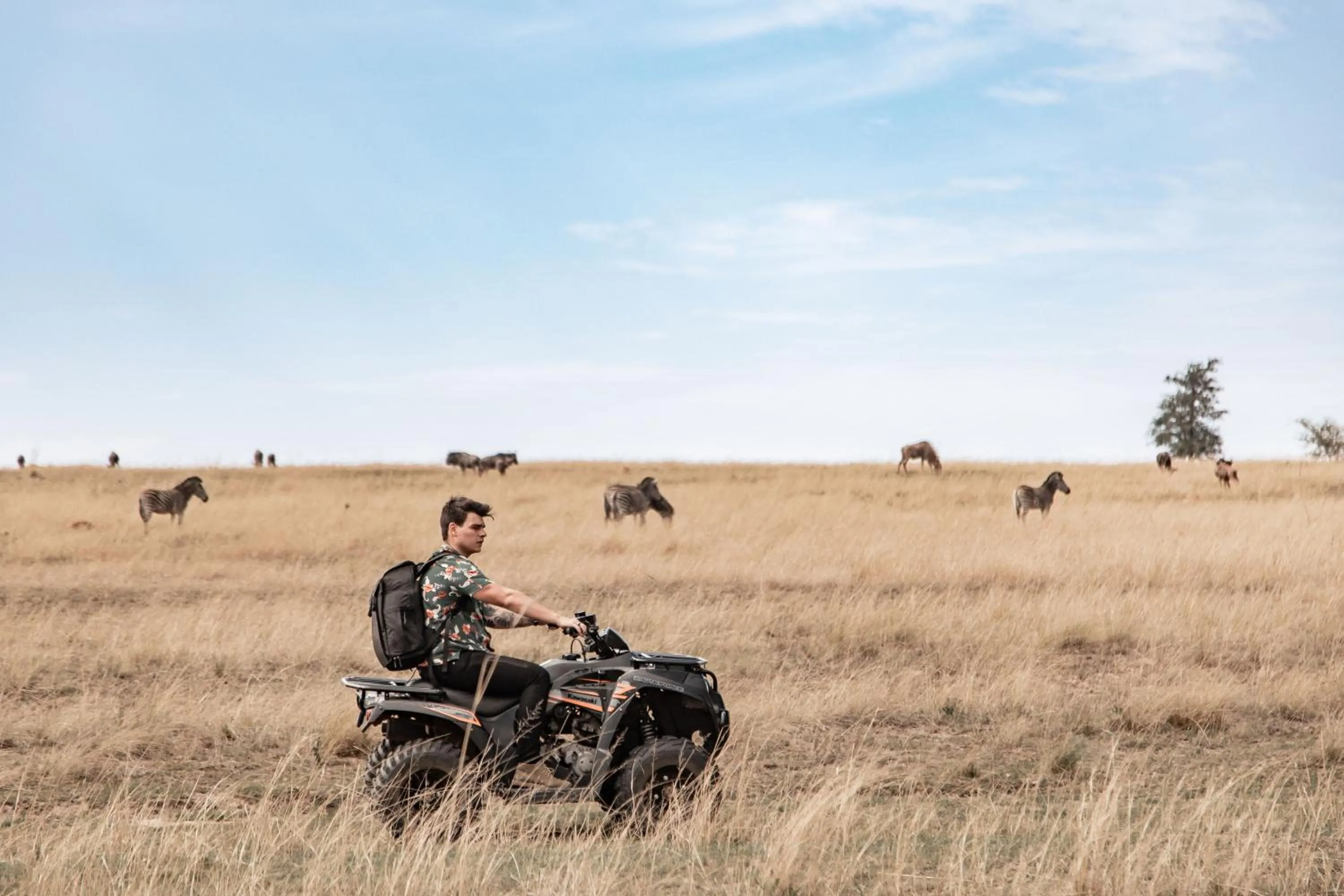 Animals in Dawsons Game Lodge