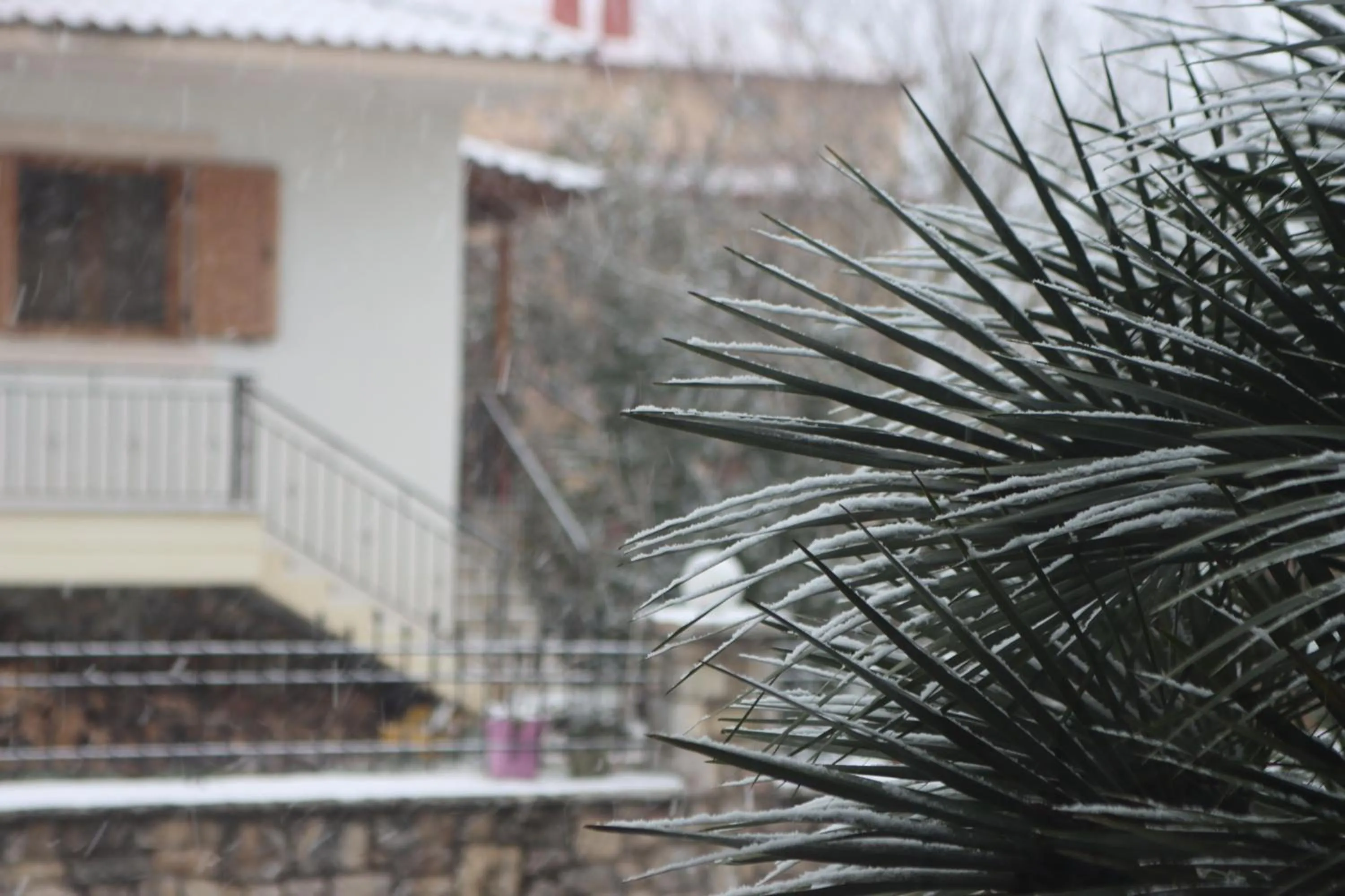 Winter in Tzovolos Apartments