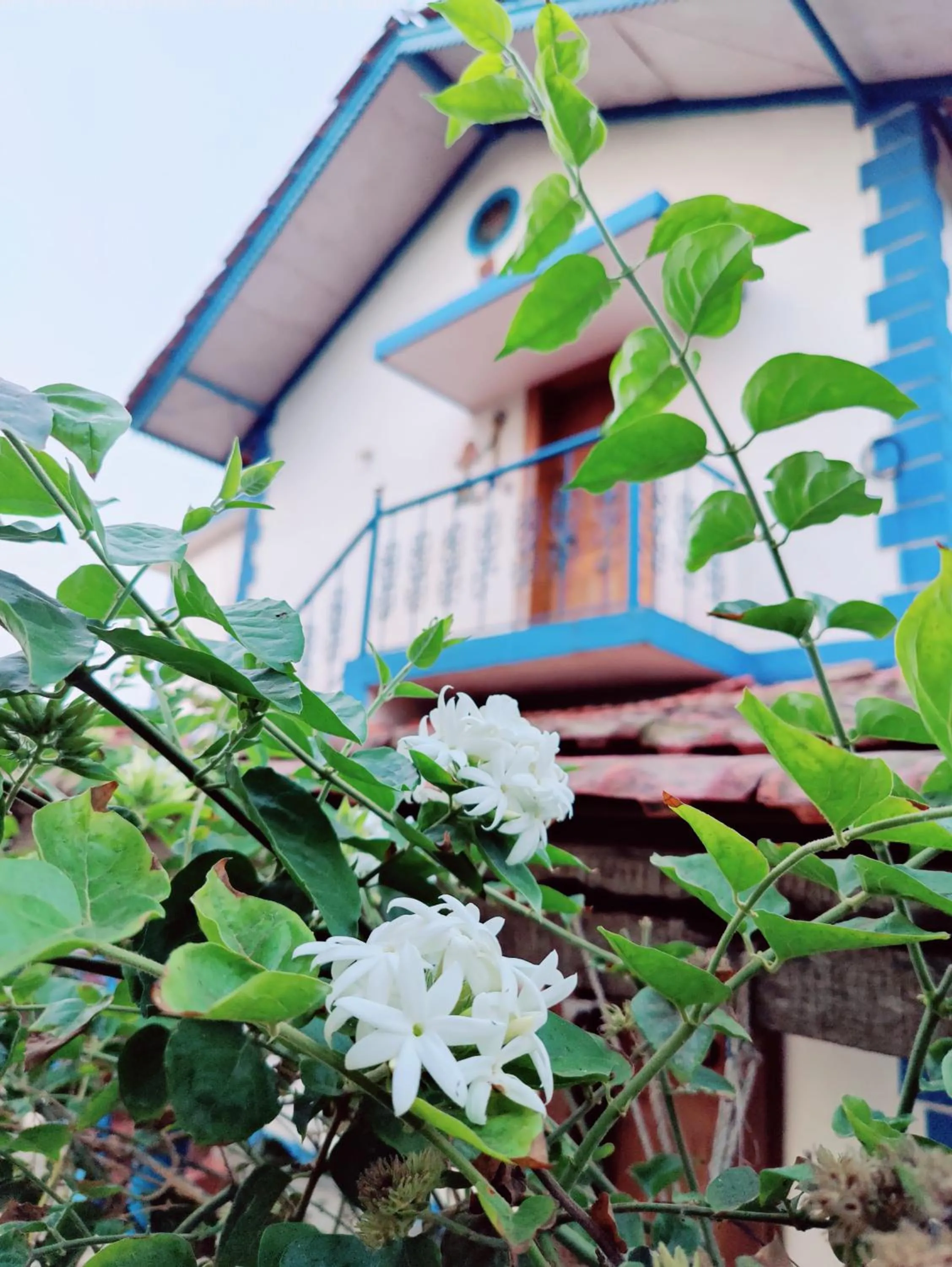 Aqua Arina Holiday Farm House