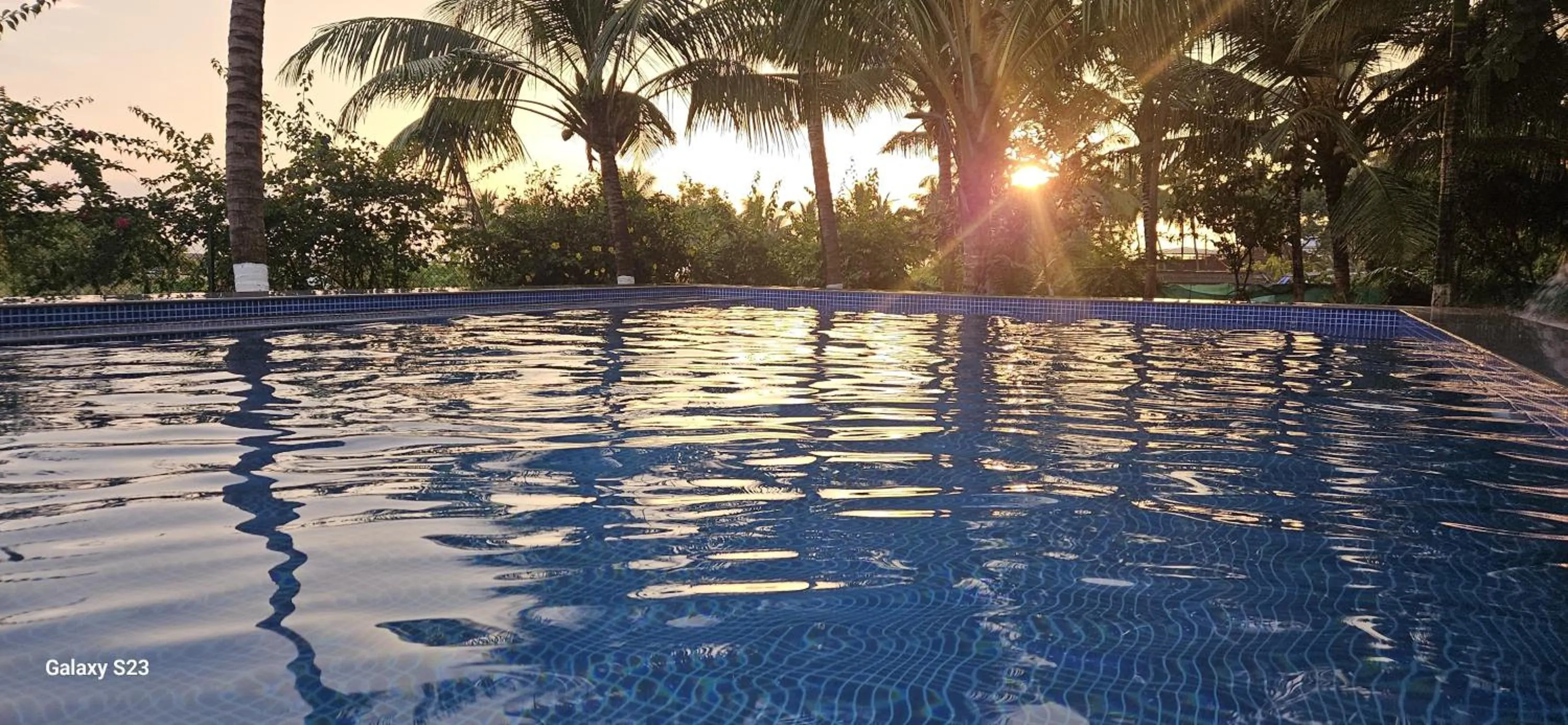 Pool view in Aqua Arina Holiday Farm House