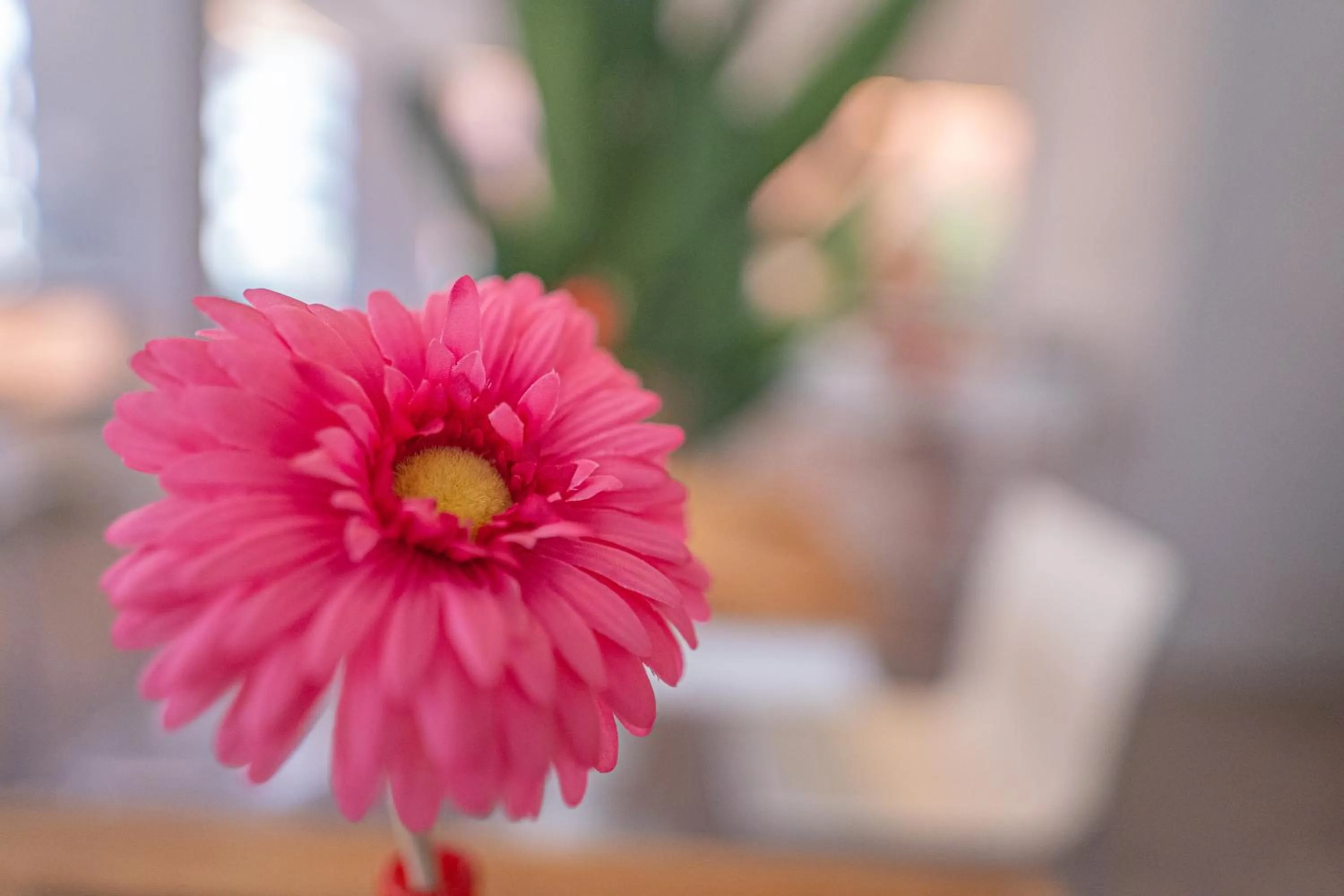 Decorative detail in Design Hotel Astra B&B