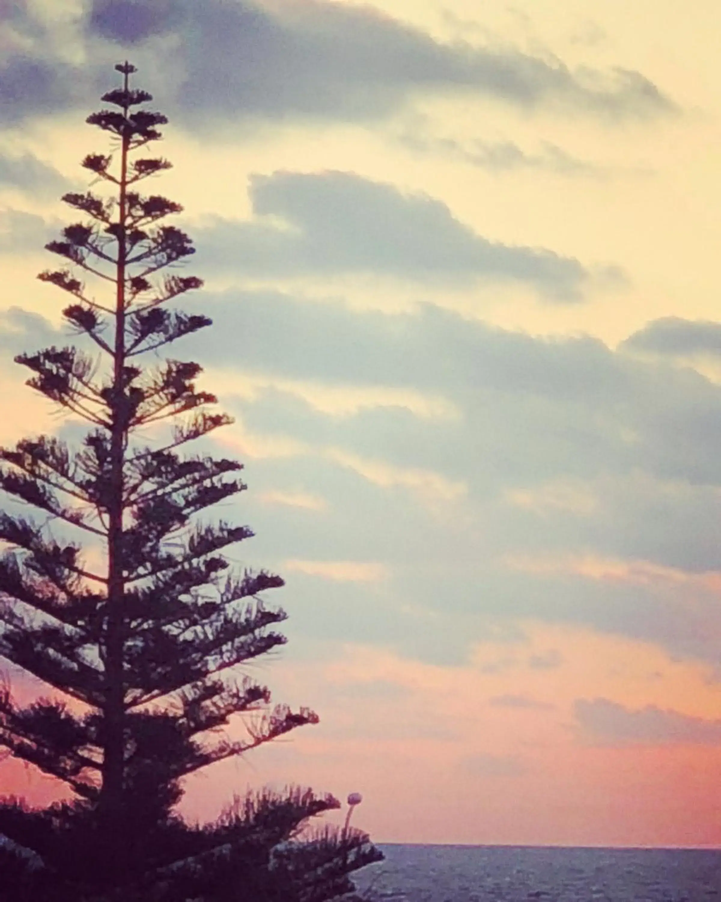 Superior Double Room in Greta Rooms Hotel Superior Double Room in Greta Rooms Hotel