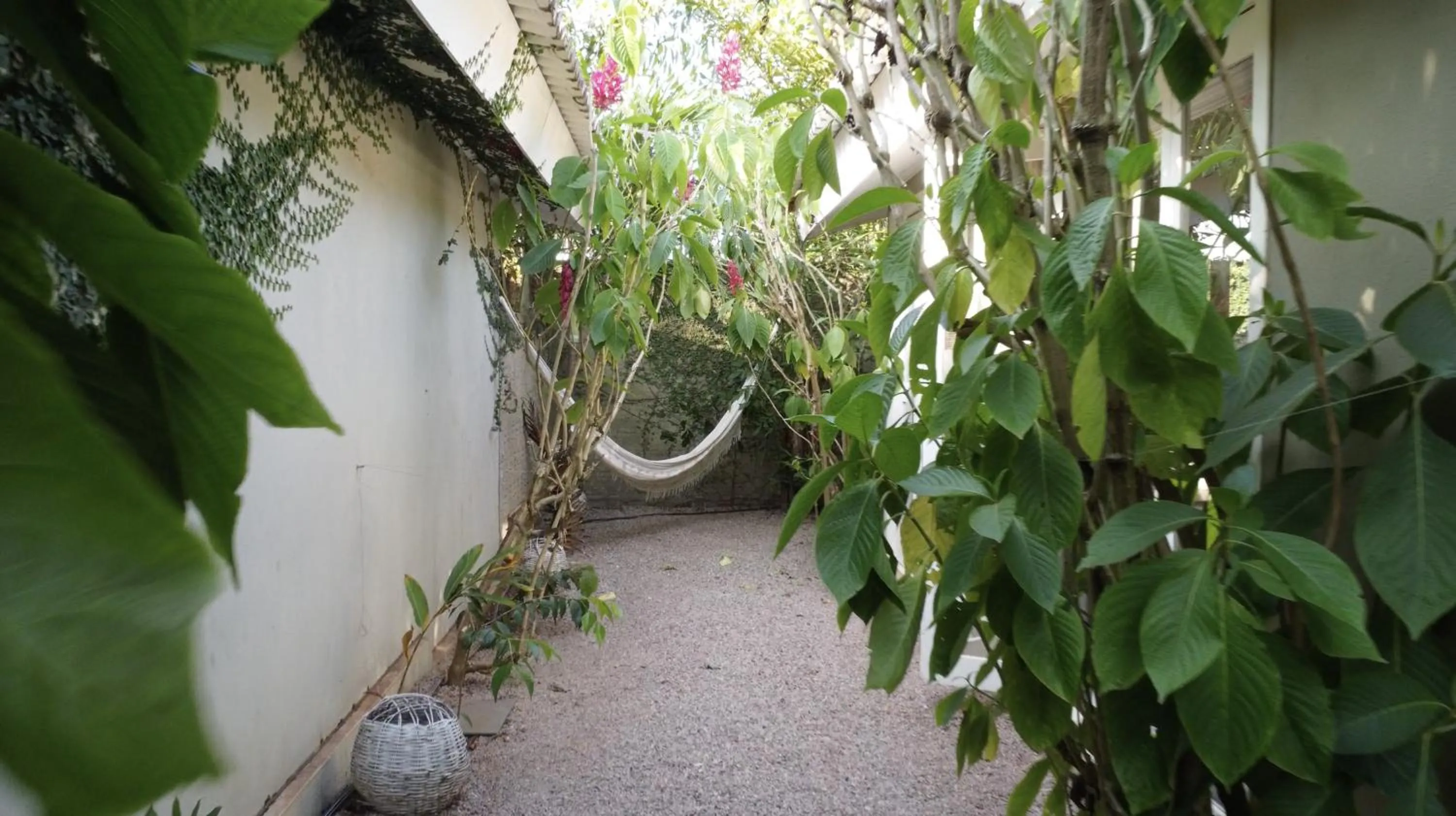 Garden in Casa Kokoro