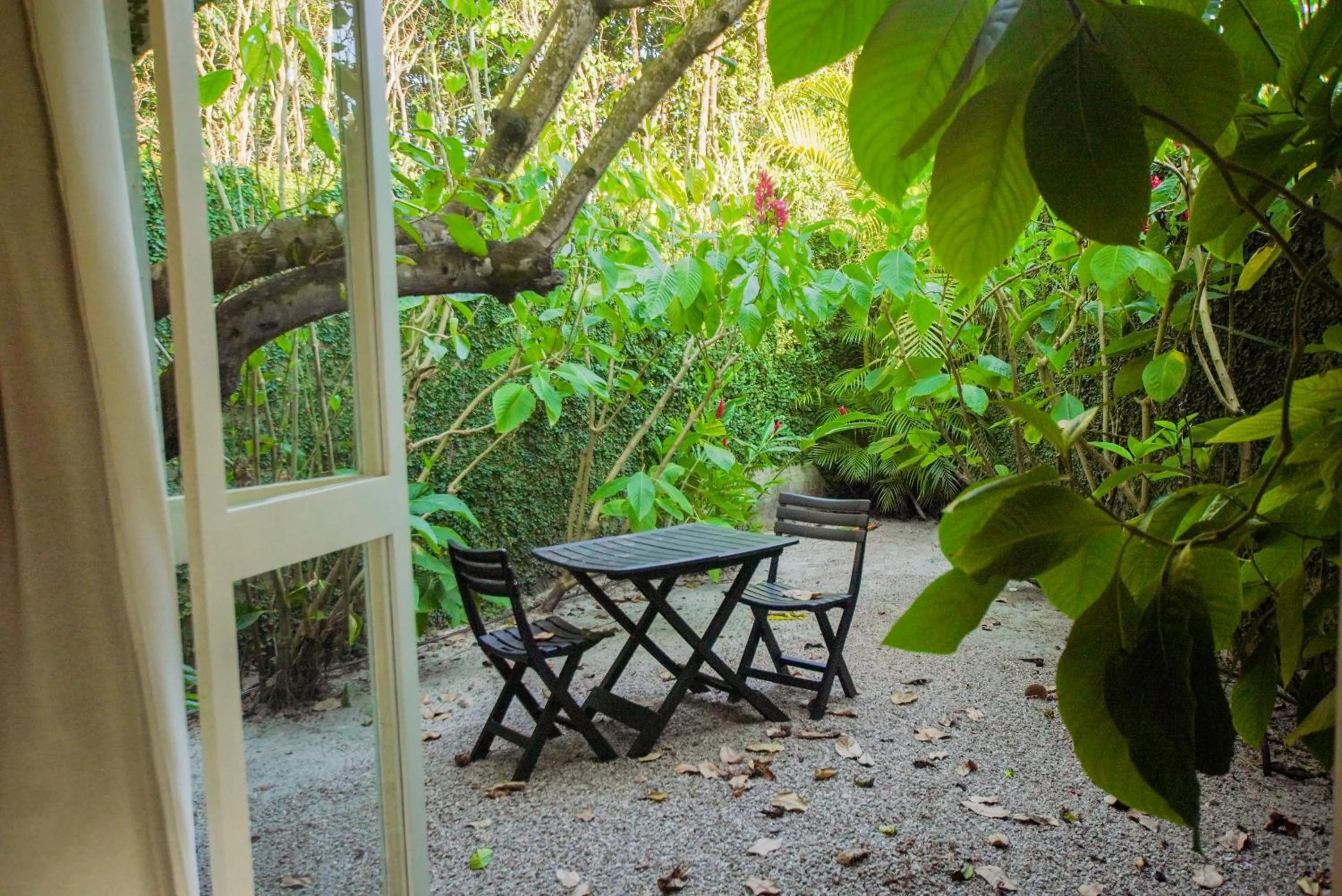 Patio in Casa Kokoro