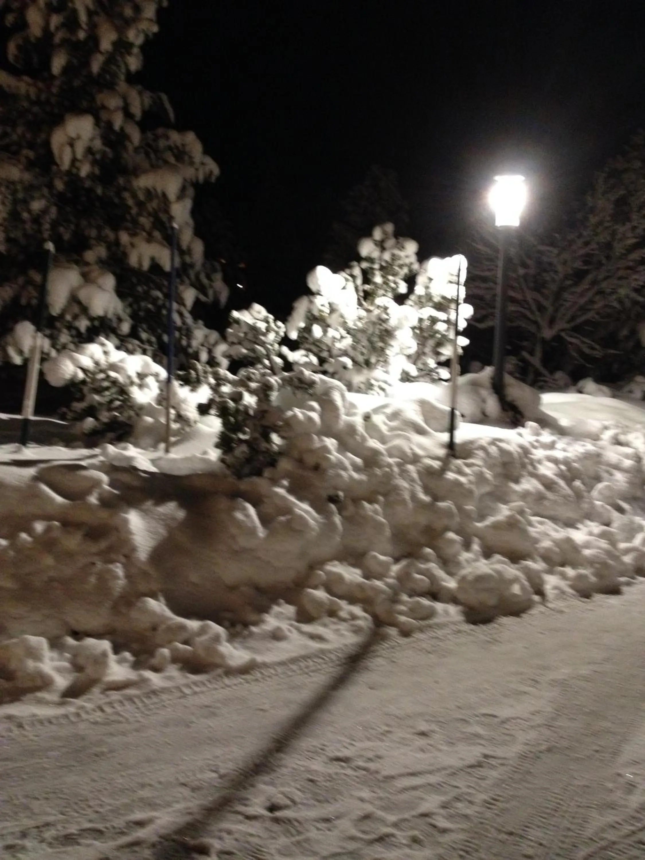 Winter in Hotel Gasthof zur Linde