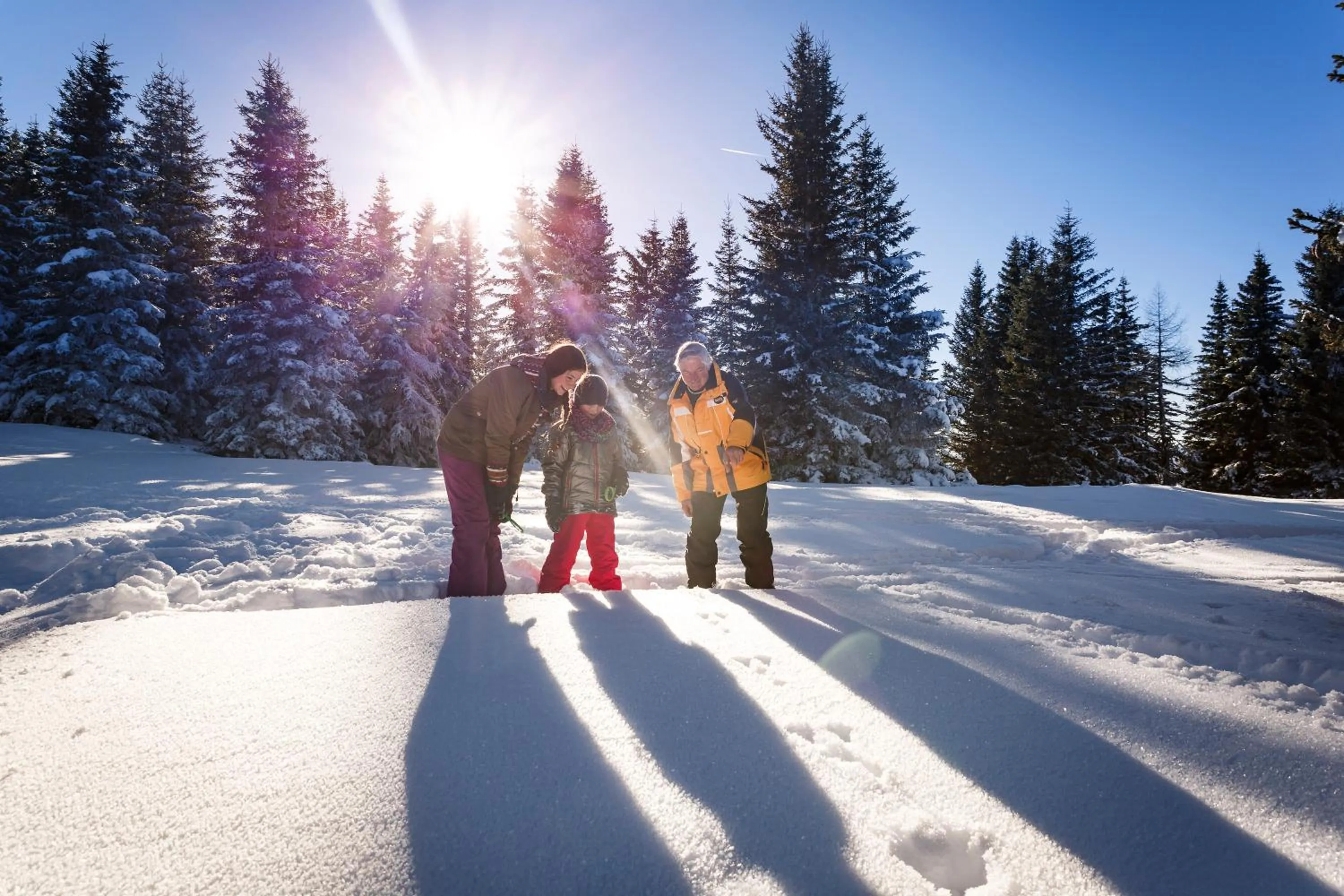 Winter in Hotel Gasthof zur Linde