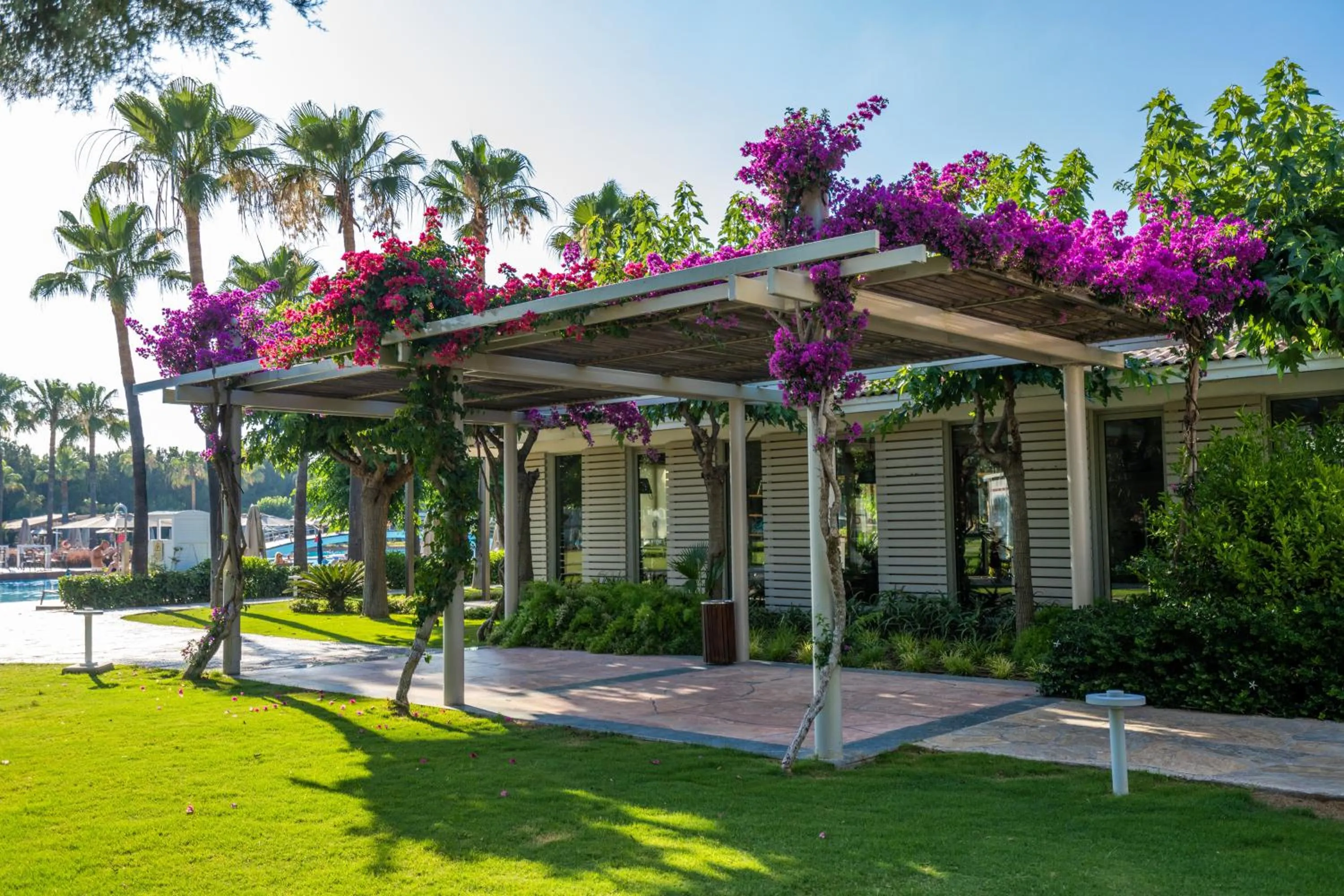 Day in Lara Barut Collection-Ultra All Inclusive